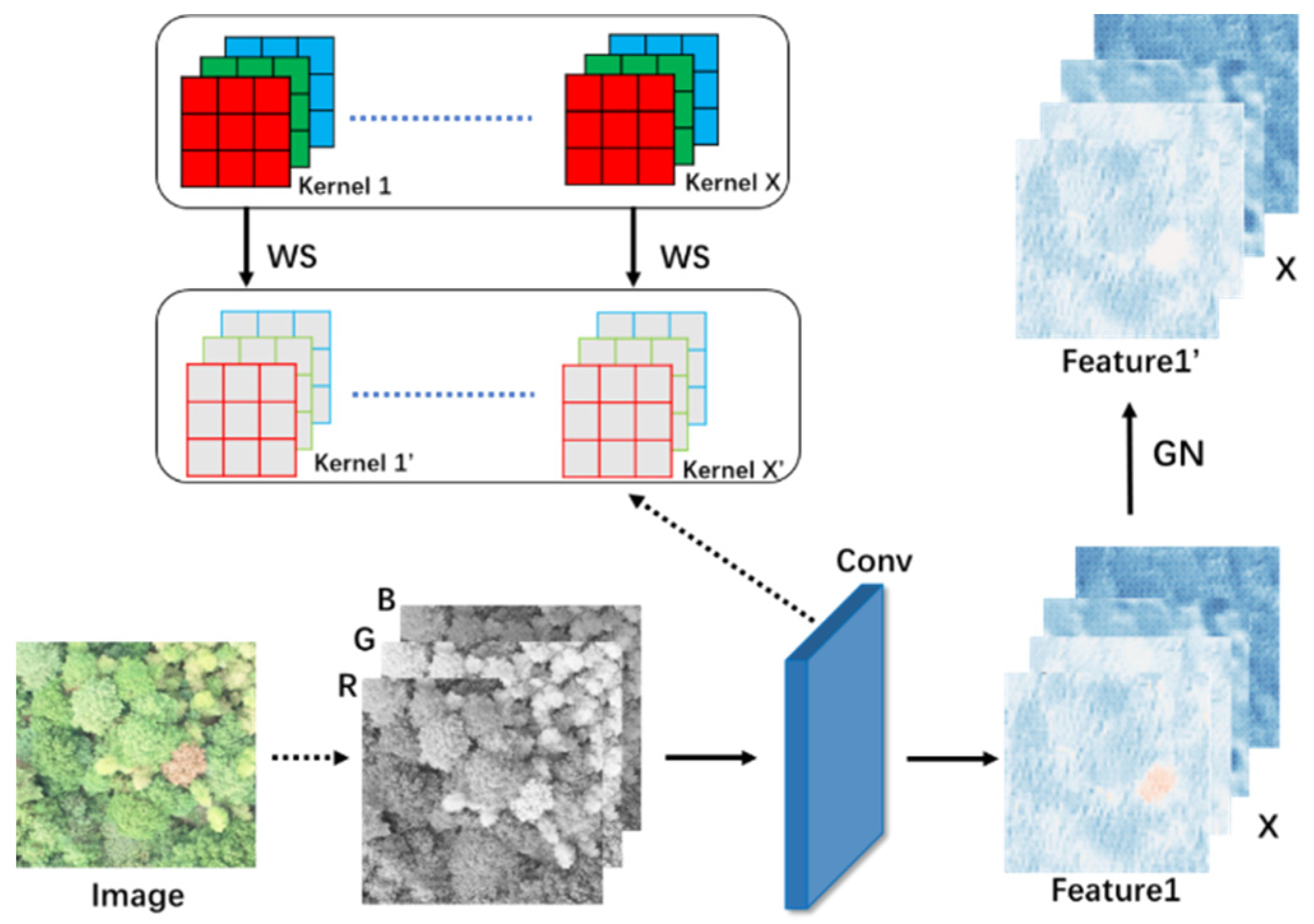Forests 14 01672 g006