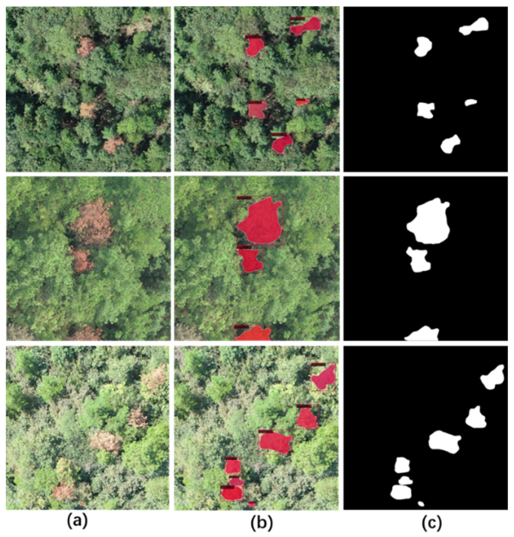 Forests 14 01672 g013