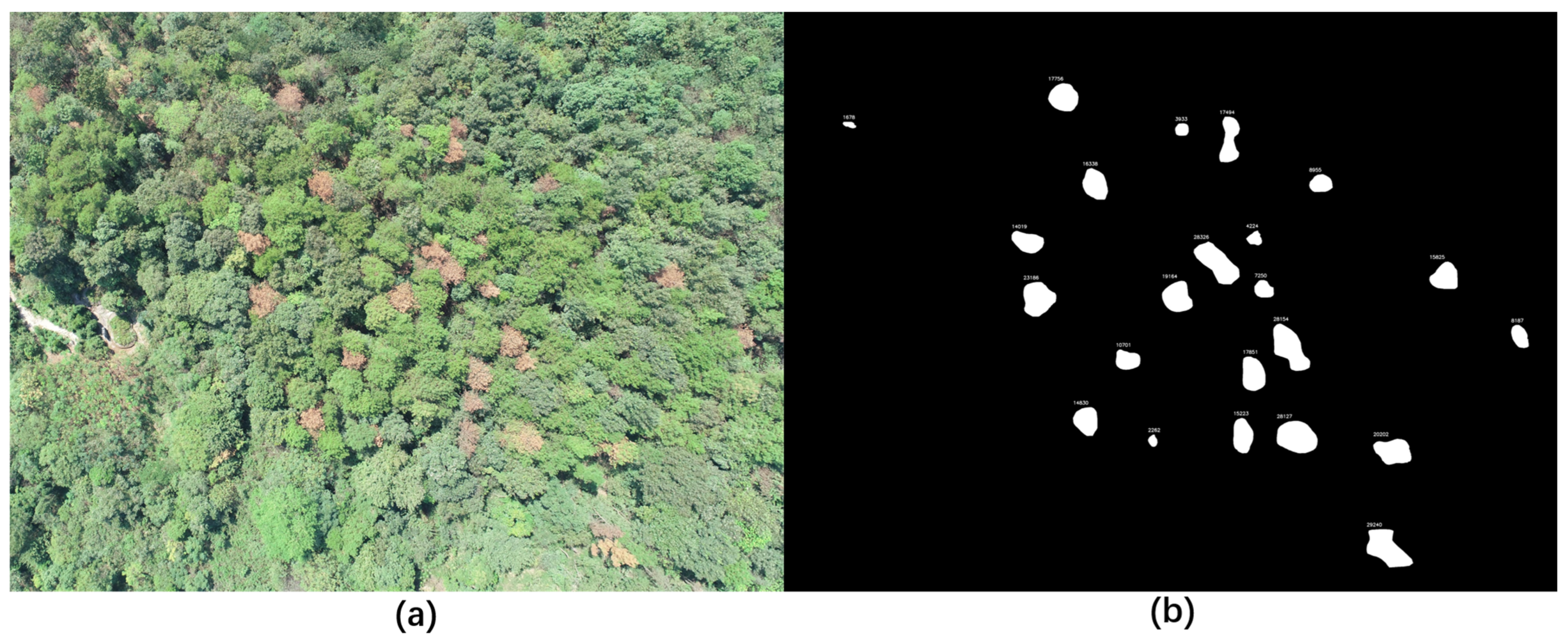 Forests 14 01672 g014