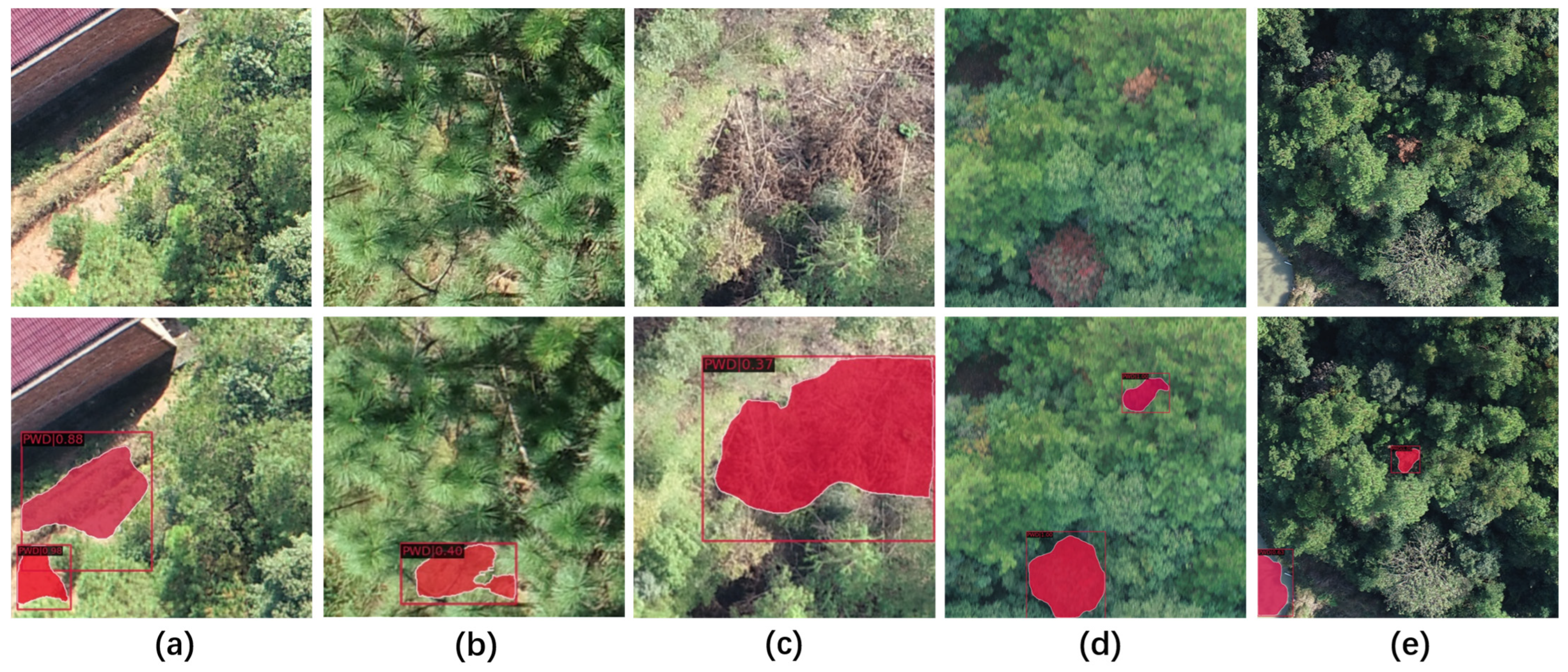 Forests 14 01672 g015