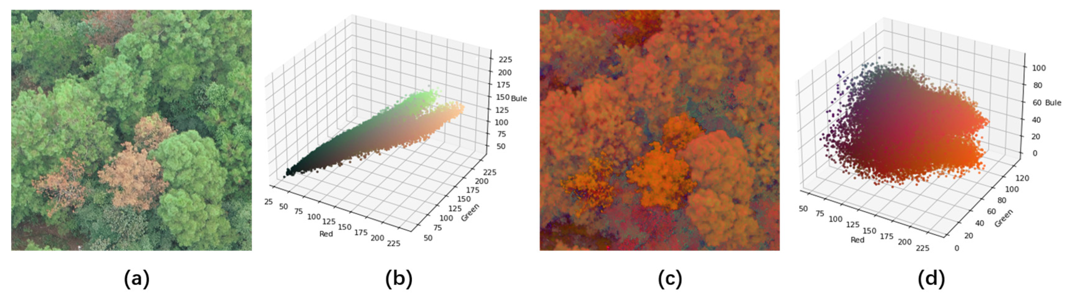 Forests 14 01672 g019