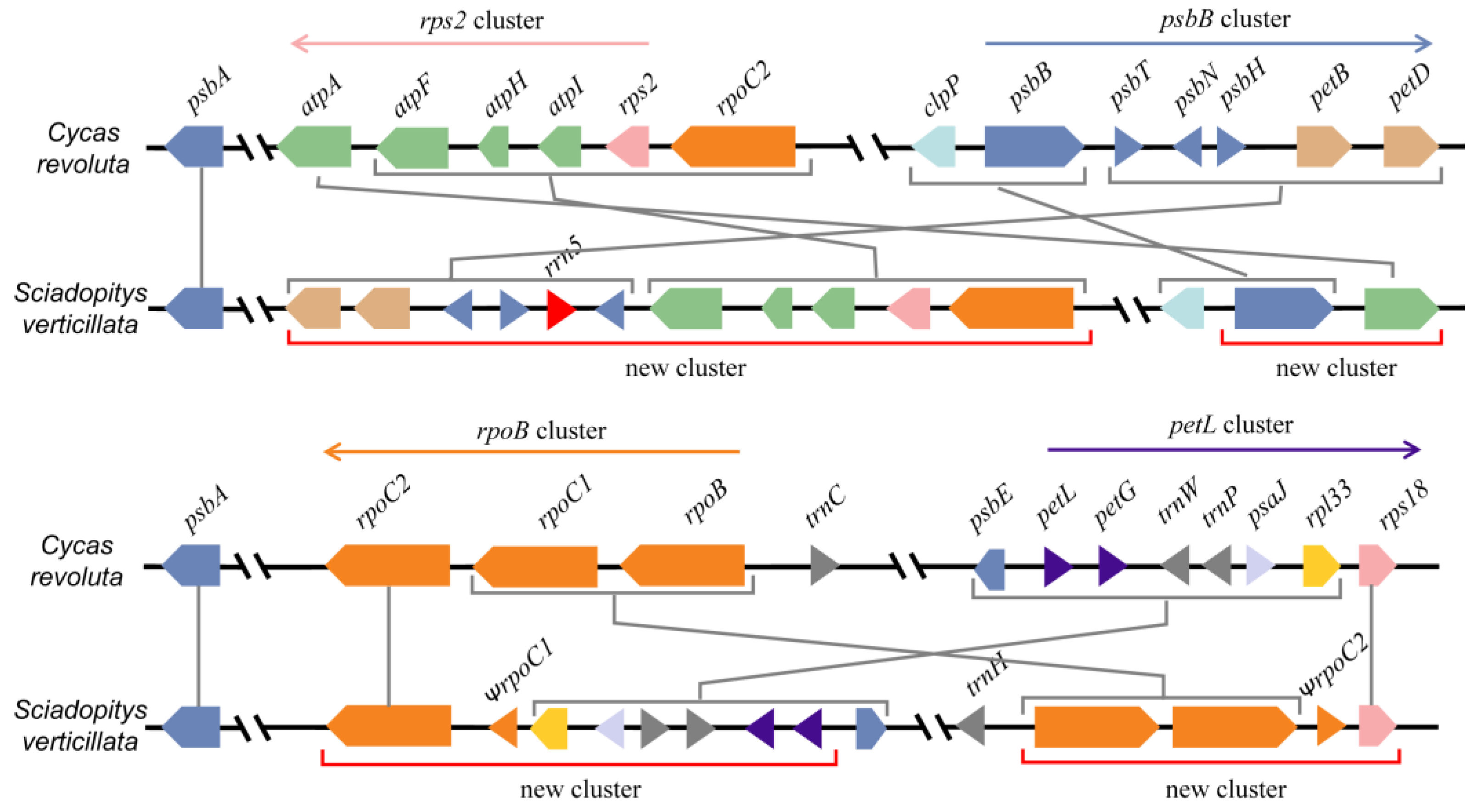 Forests 14 01681 g002 Forests 14 01681 g002