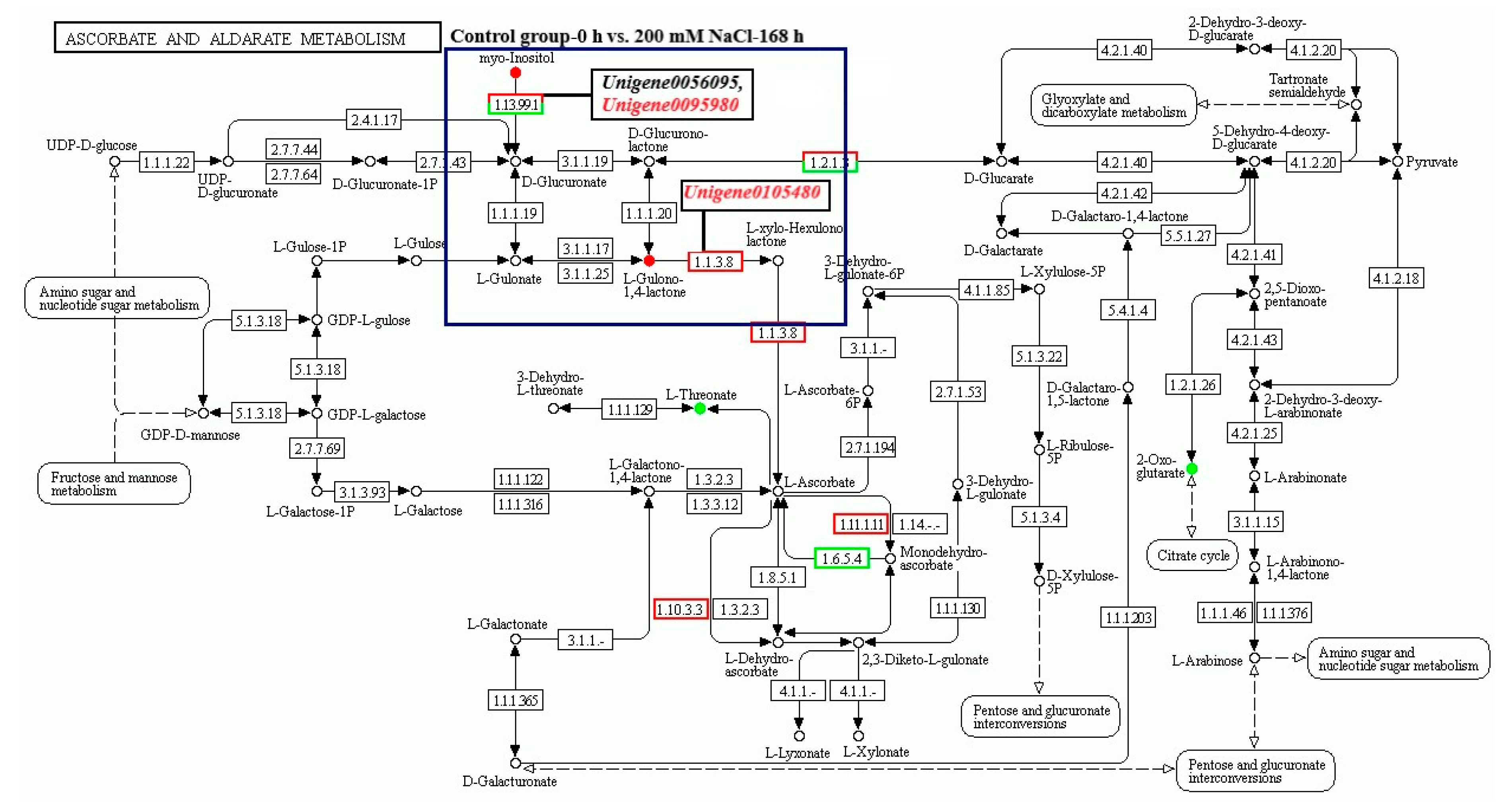 Forests 14 01686 g002b