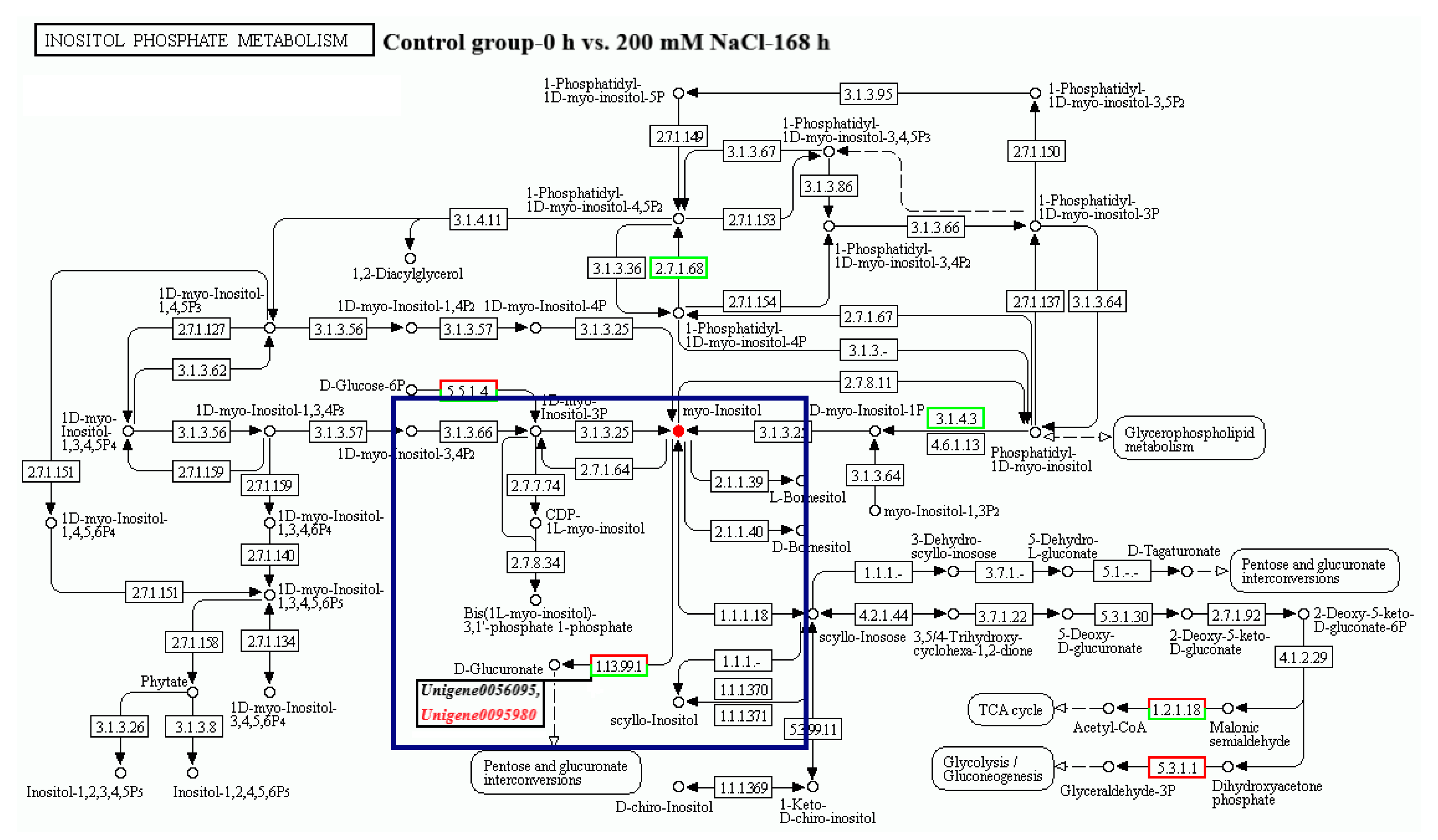 Forests 14 01686 g004b