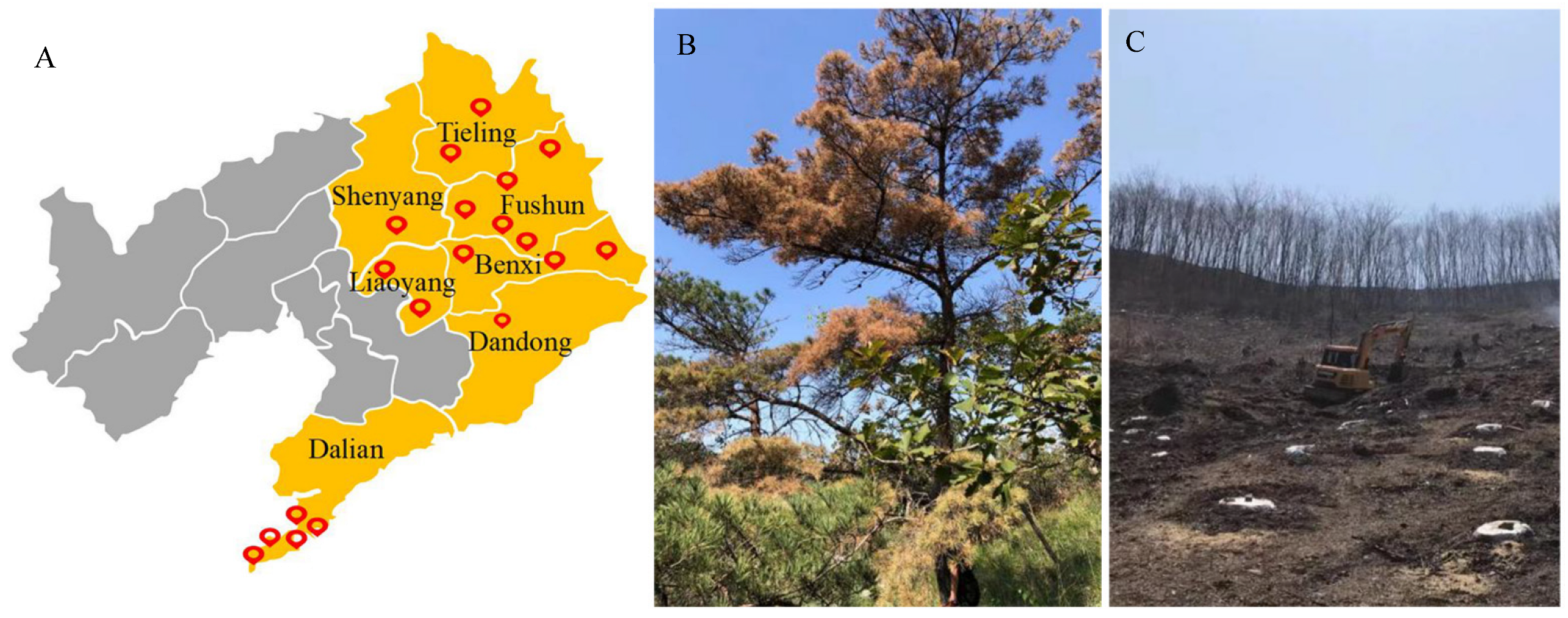 Forests 14 01687 g003