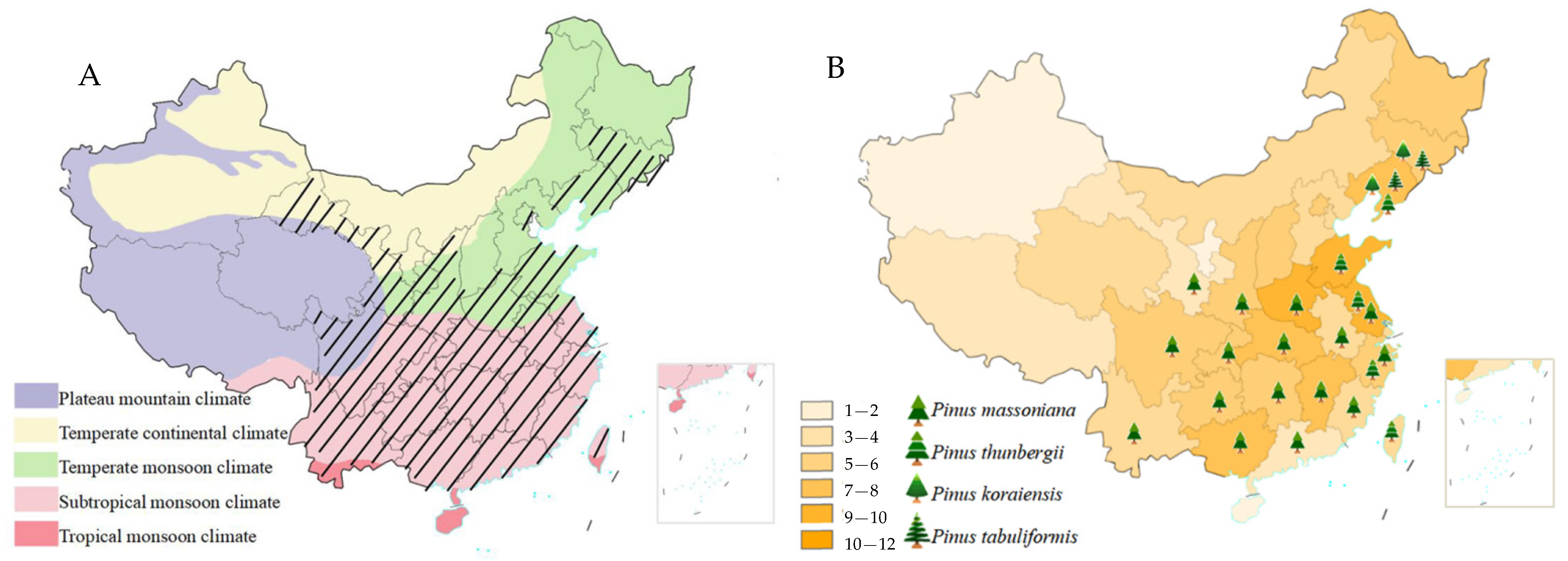 Forests 14 01687 g005
