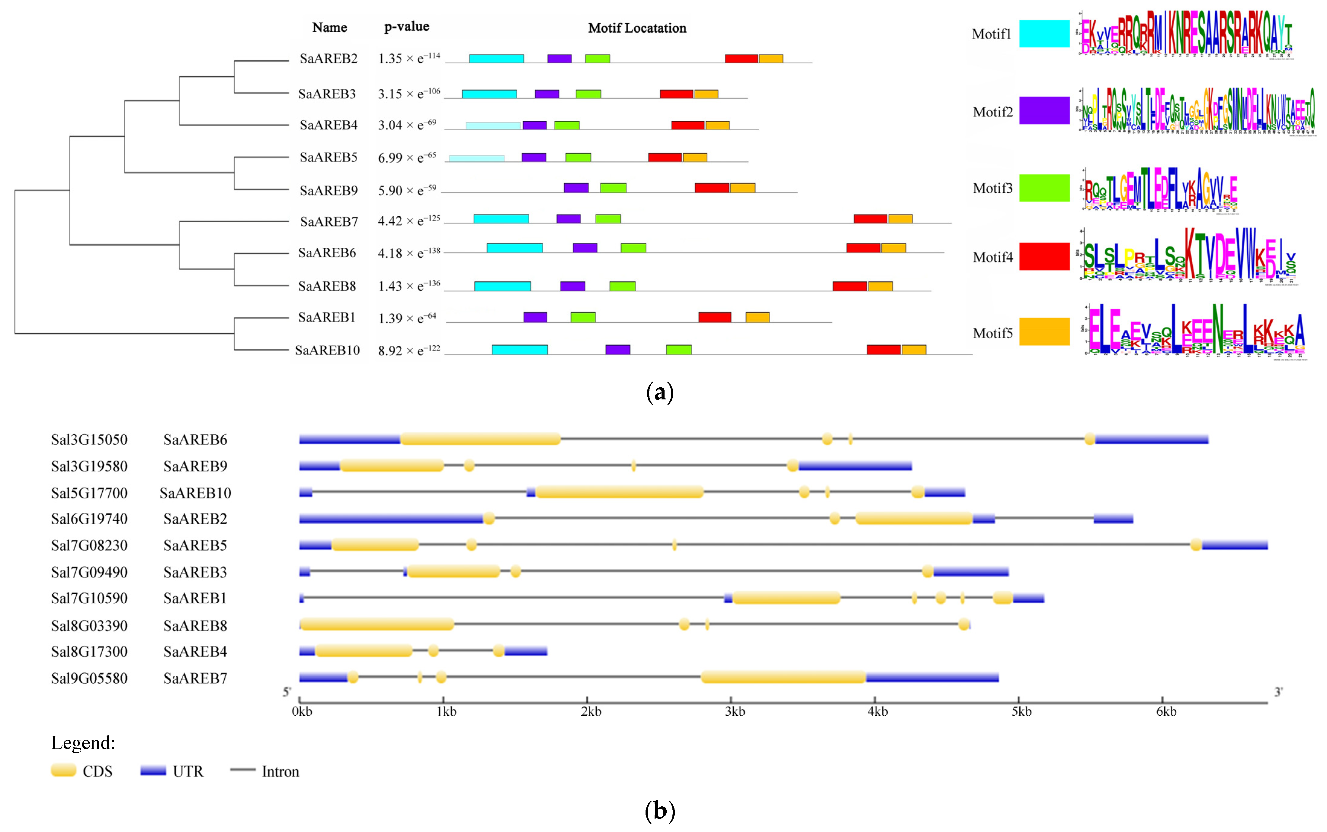 Forests 14 01691 g002