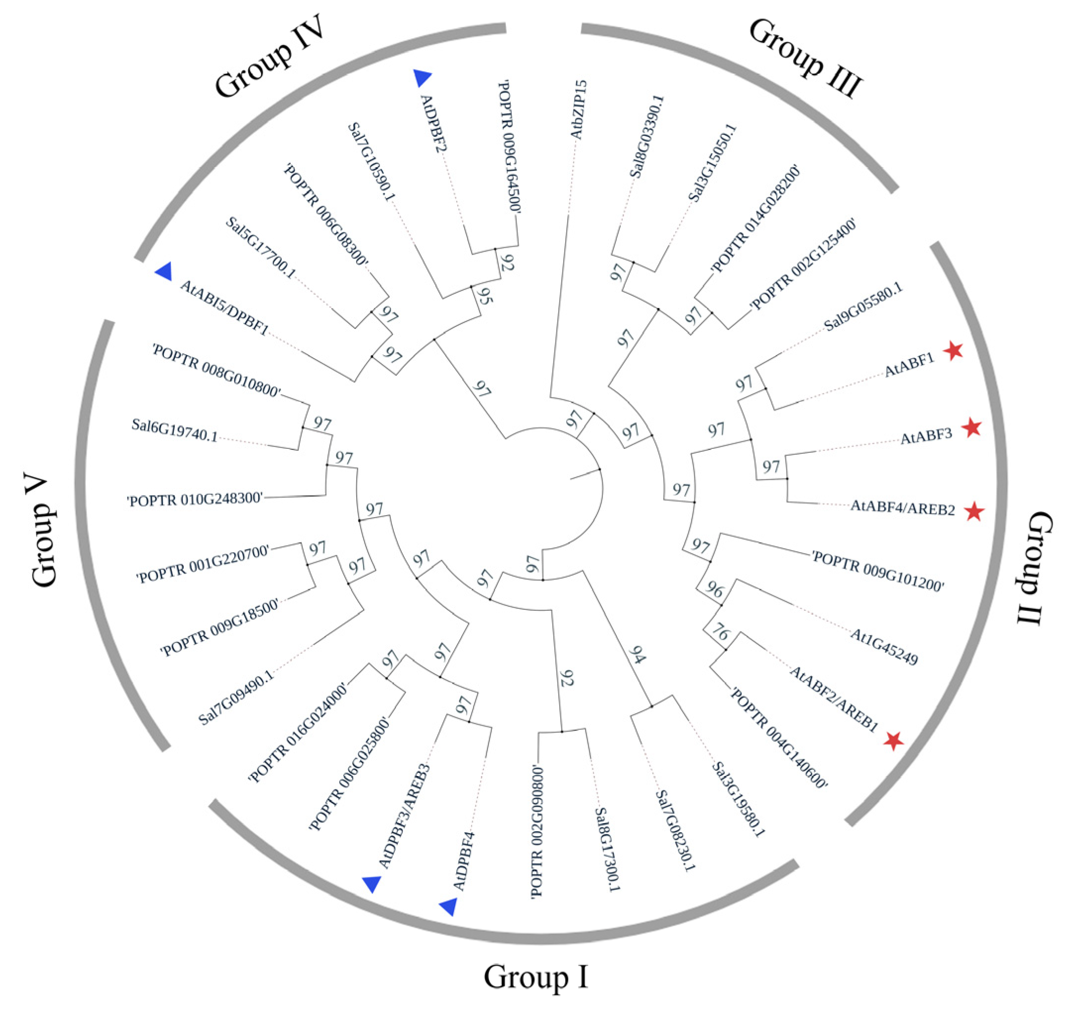 Forests Free FullText Identification and Characterization of the
