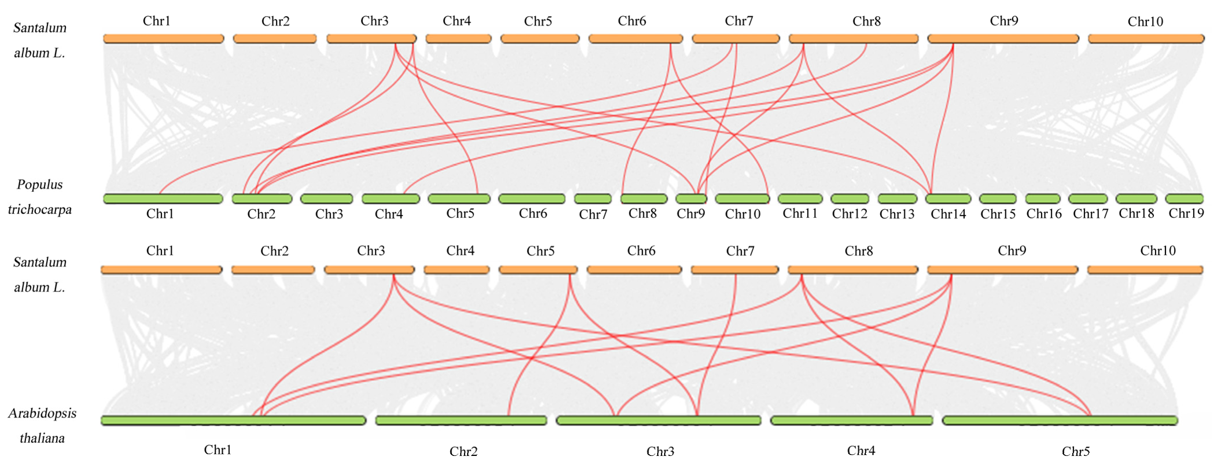 Forests 14 01691 g006