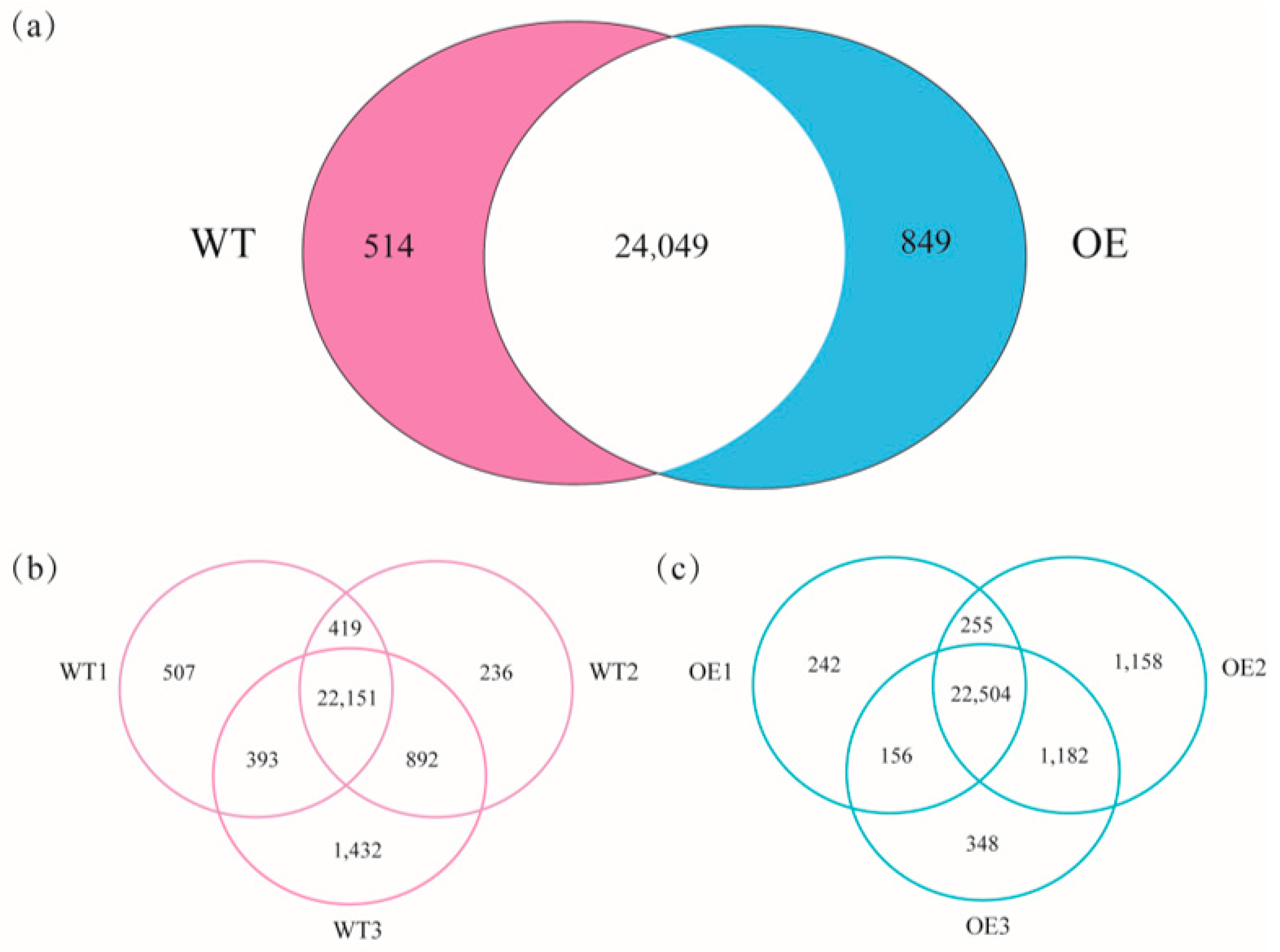 Forests 14 01692 g003