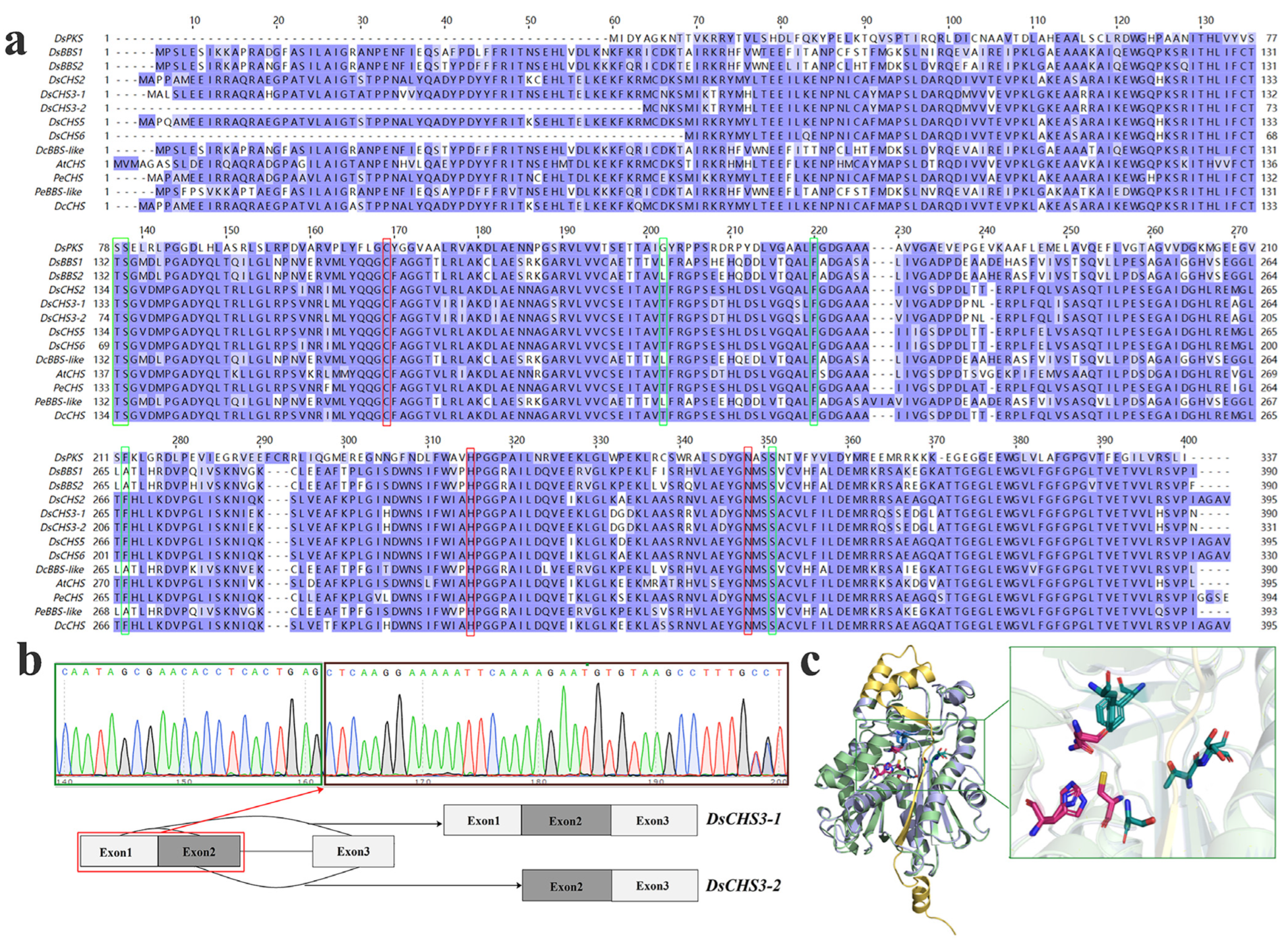 Forests 14 01702 g003