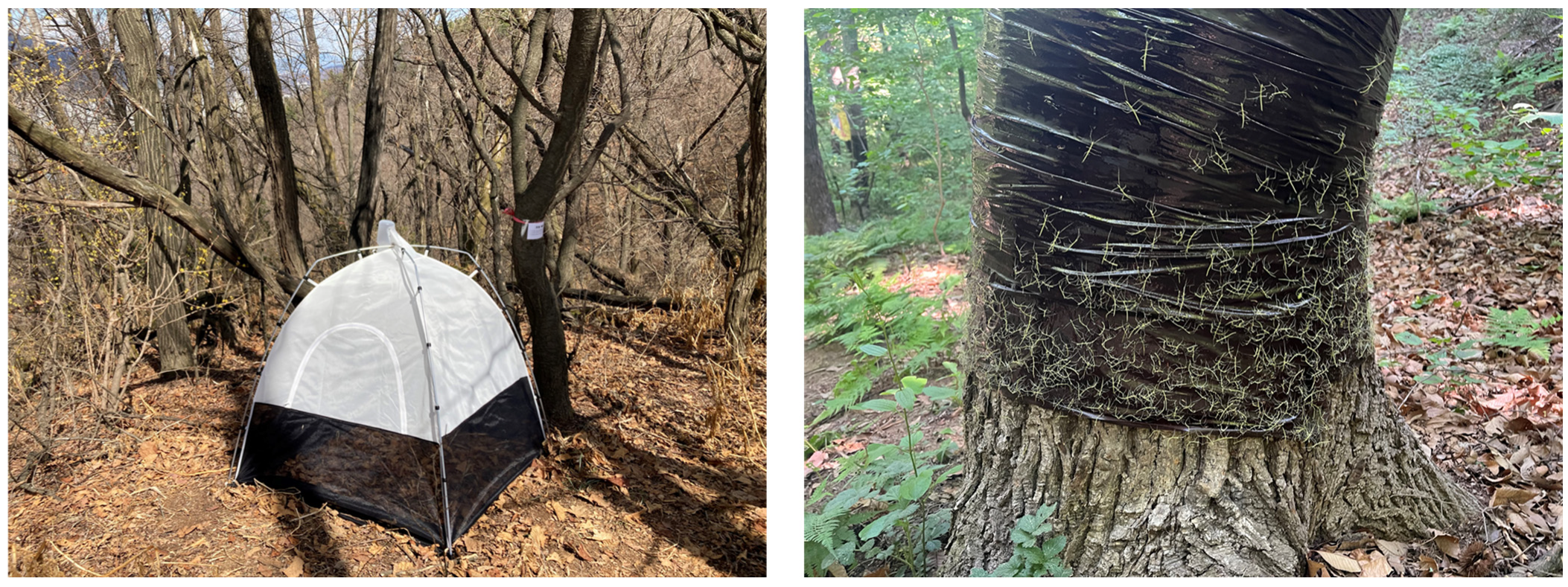 Forests 14 01710 g001