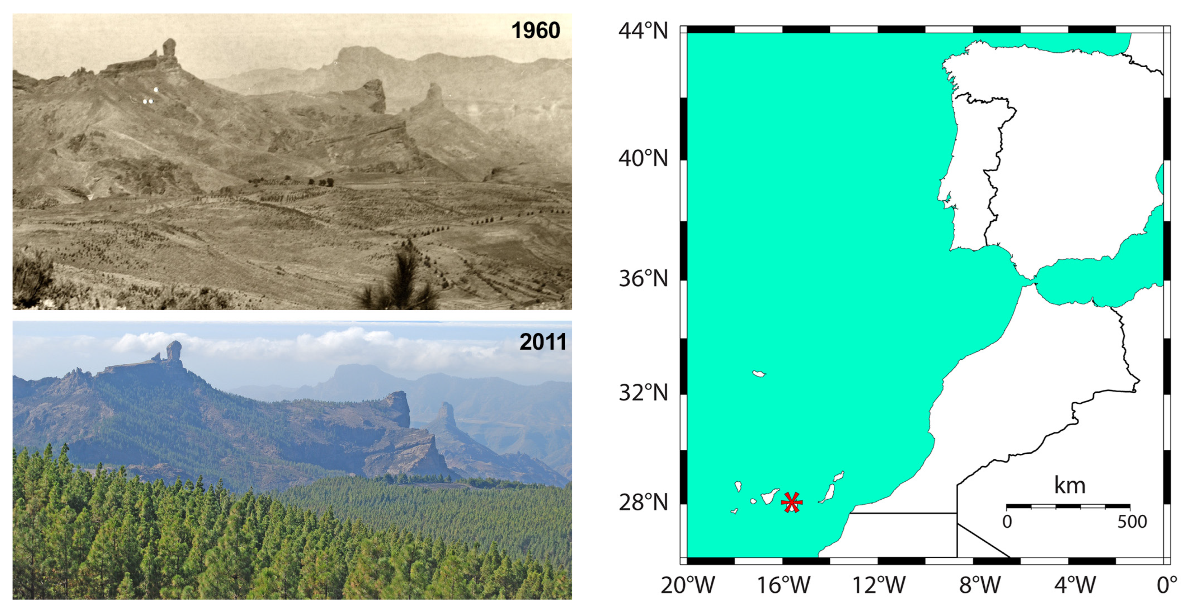 Forests 14 01719 g001