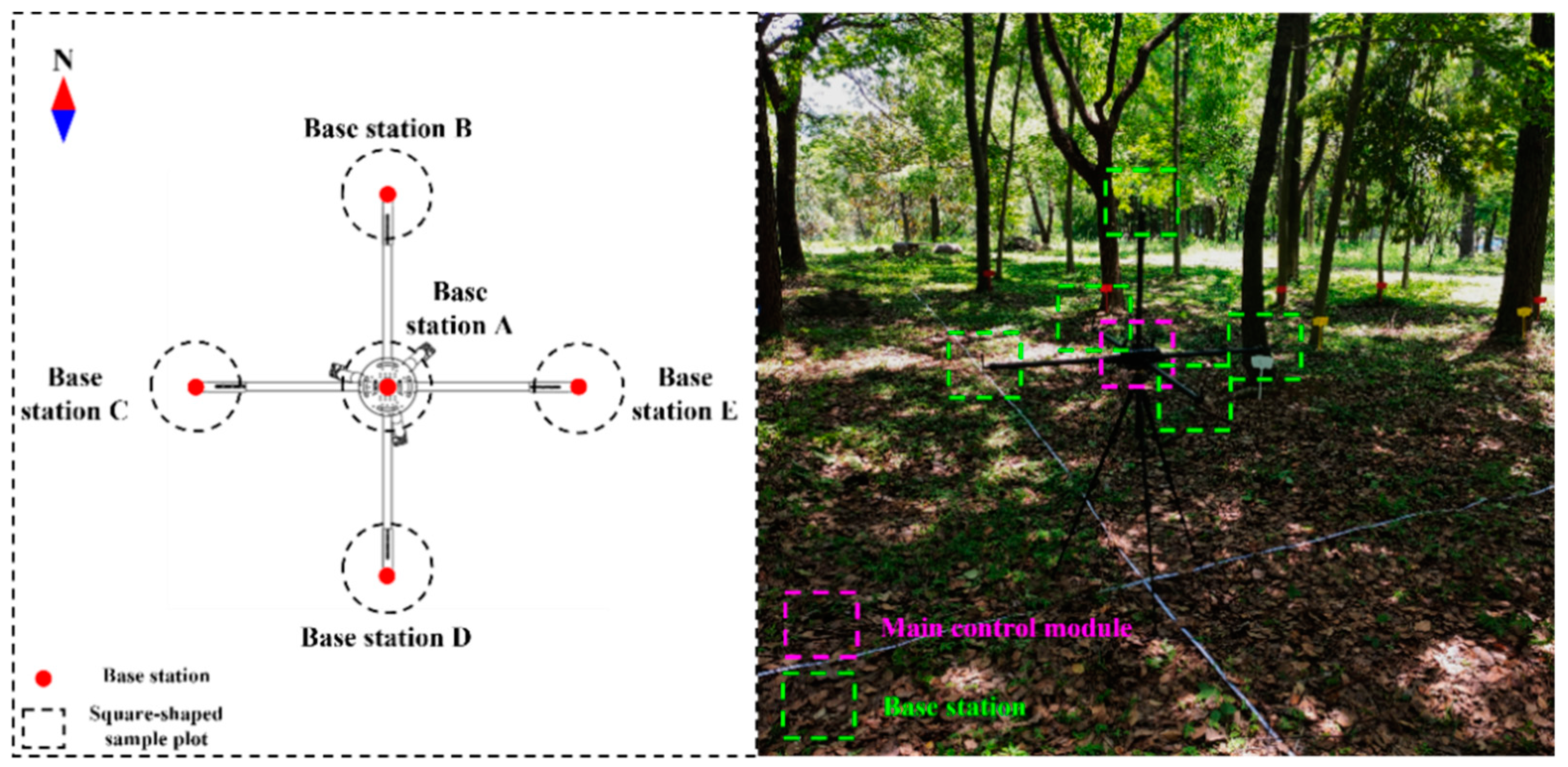 Forests 14 01723 g006