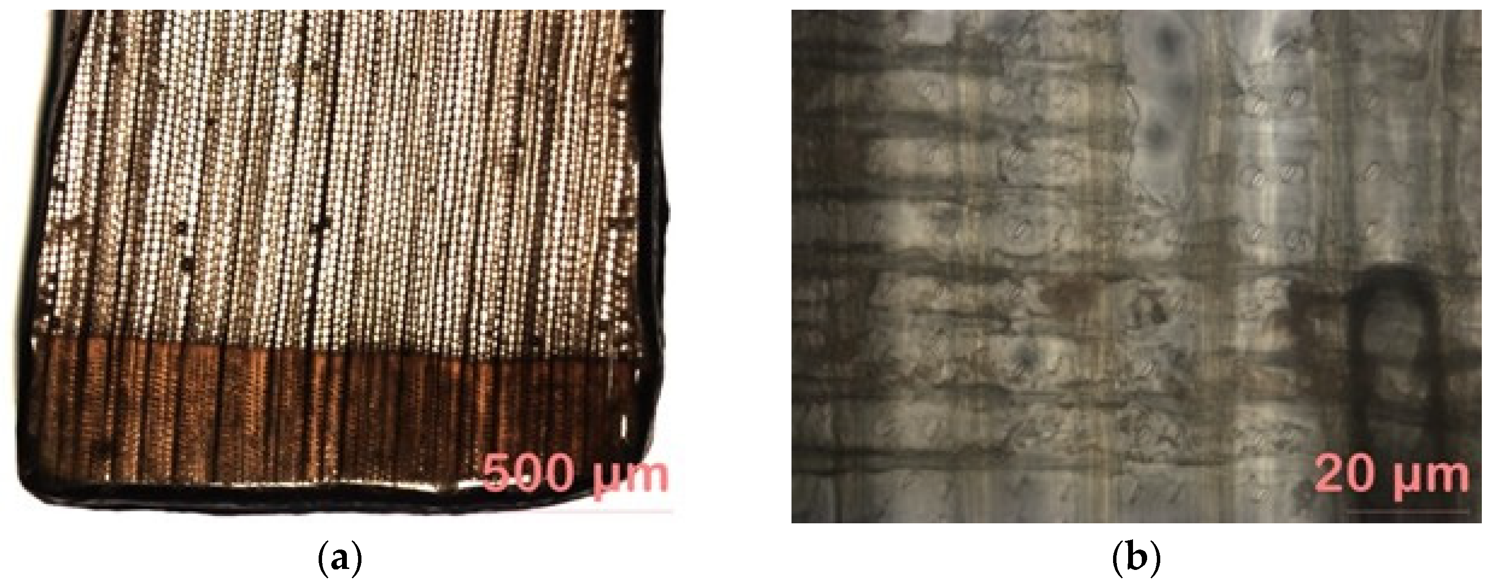 Forests 14 01733 g005