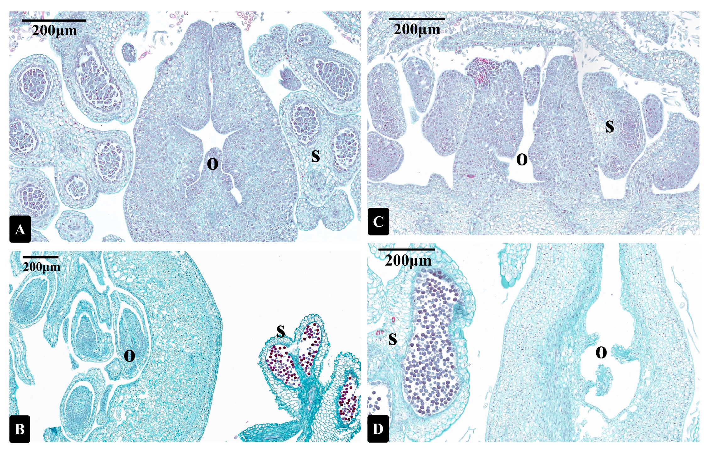Forests 14 01737 g002