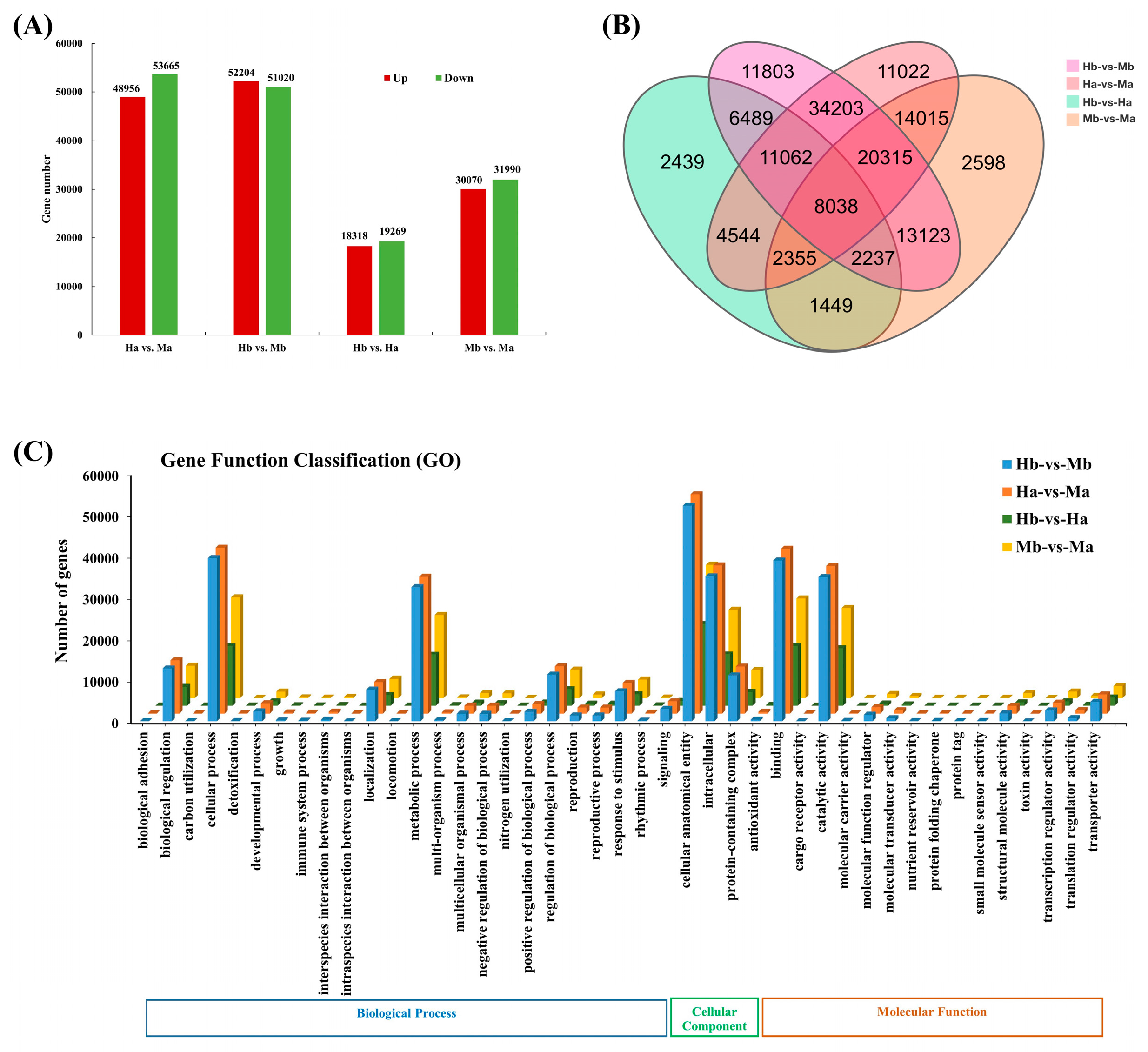 Forests 14 01737 g004