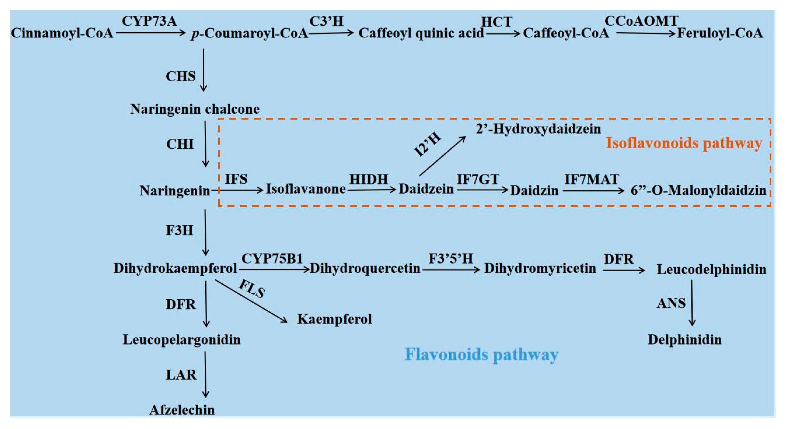 Forests 14 01737 g006
