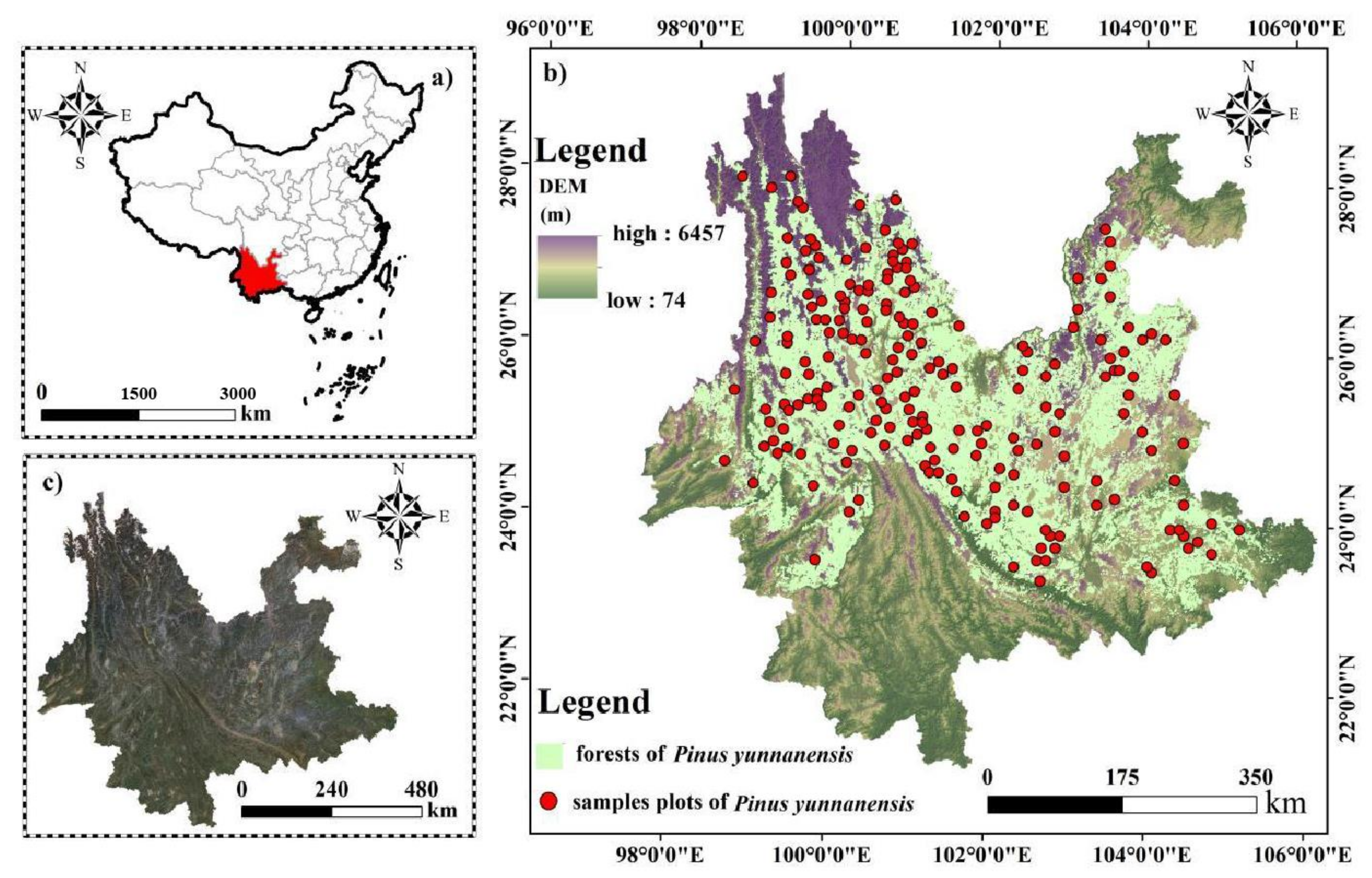 Forests 14 01742 g001