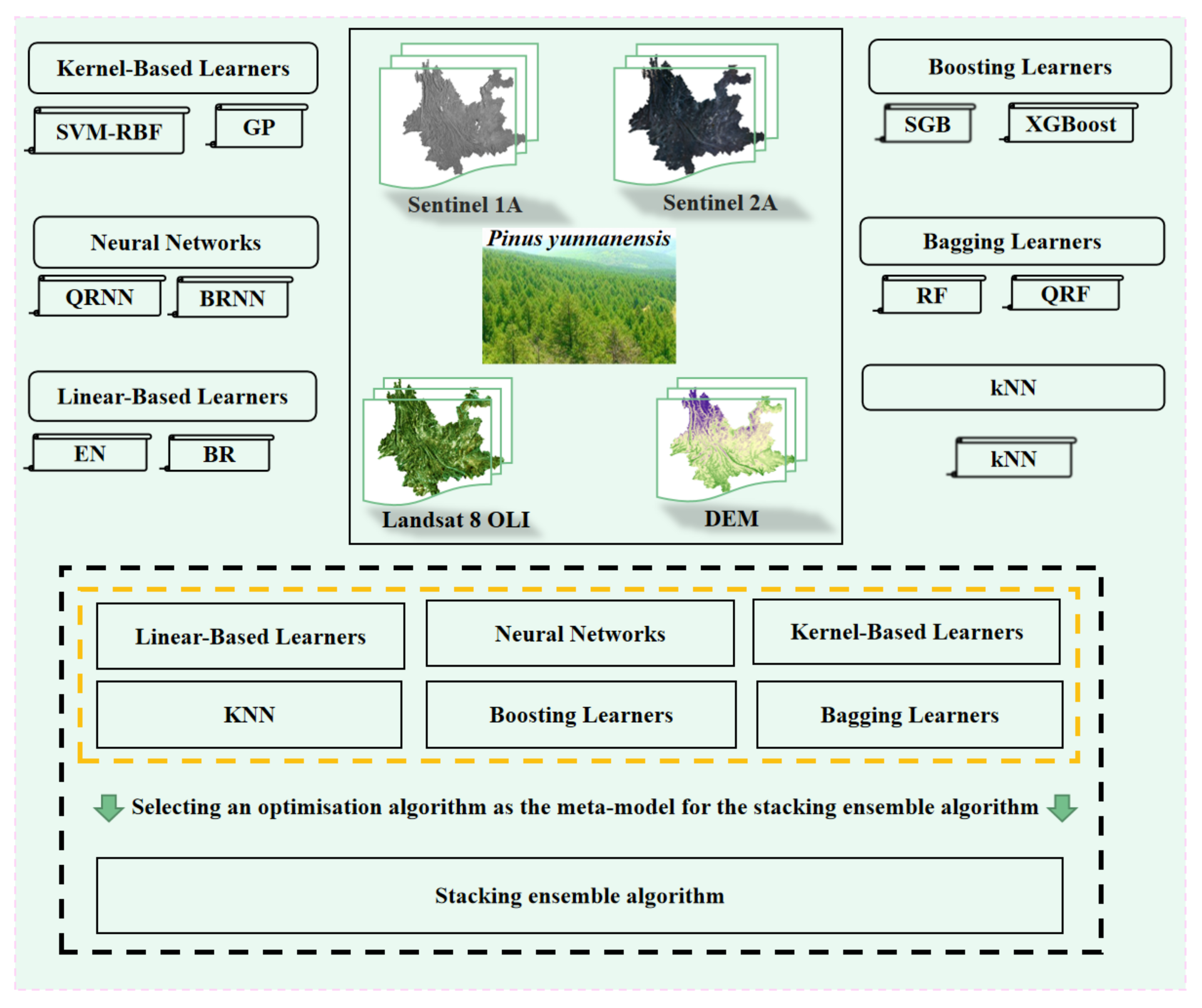 Forests 14 01742 g003