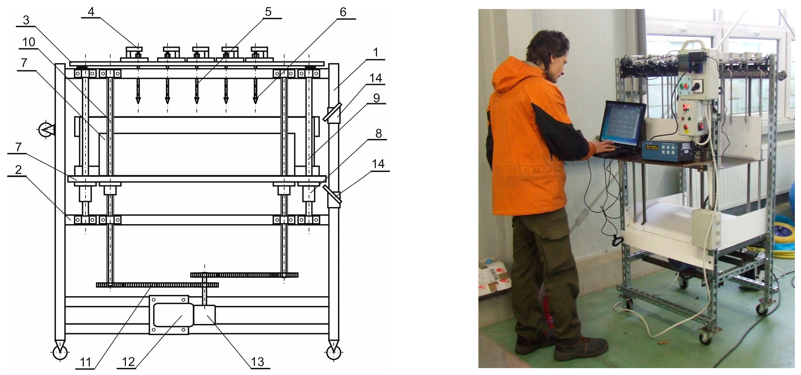Forests 14 01750 g003