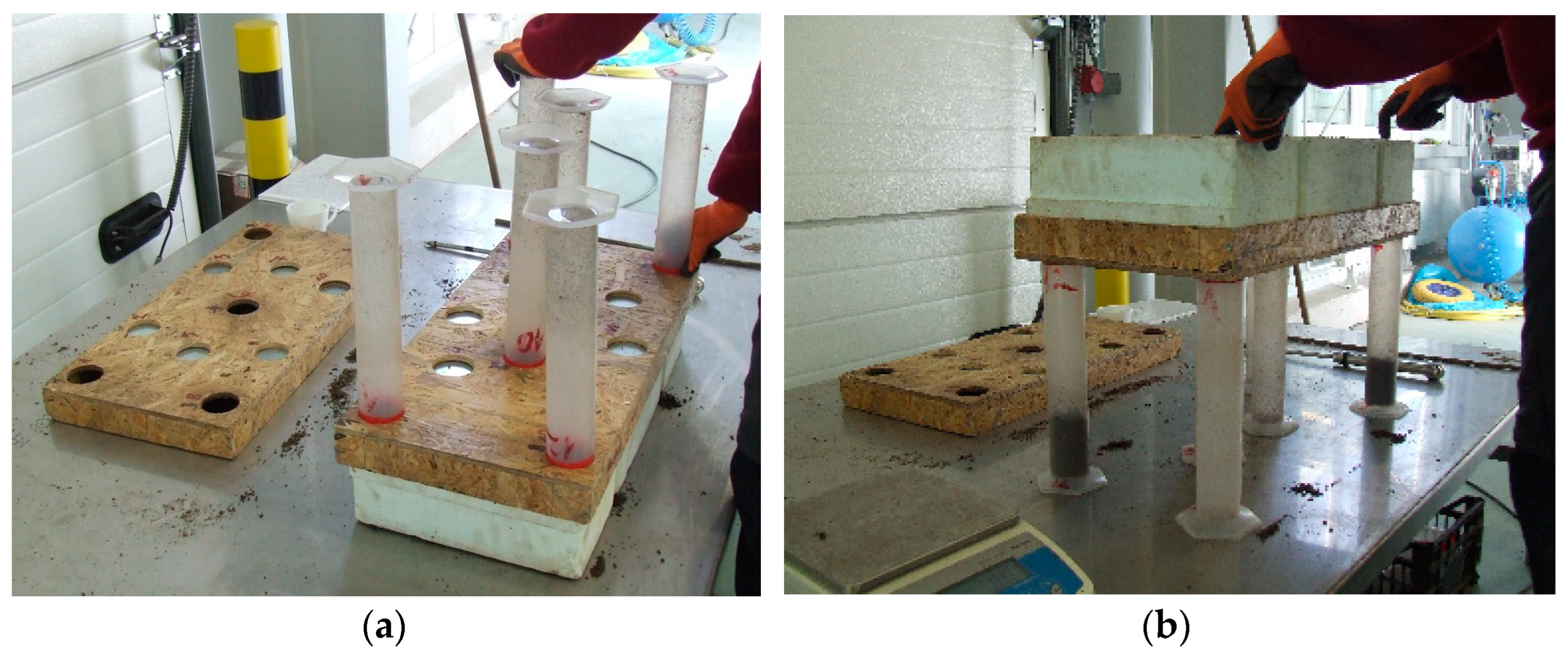 Forests 14 01750 g004