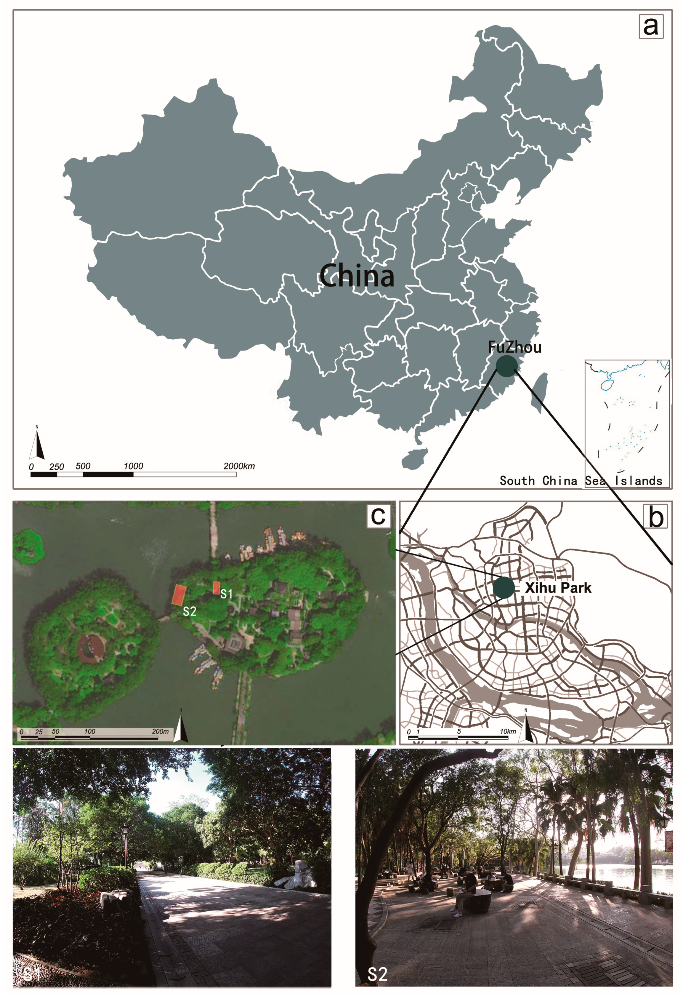 Forests 14 01758 g001