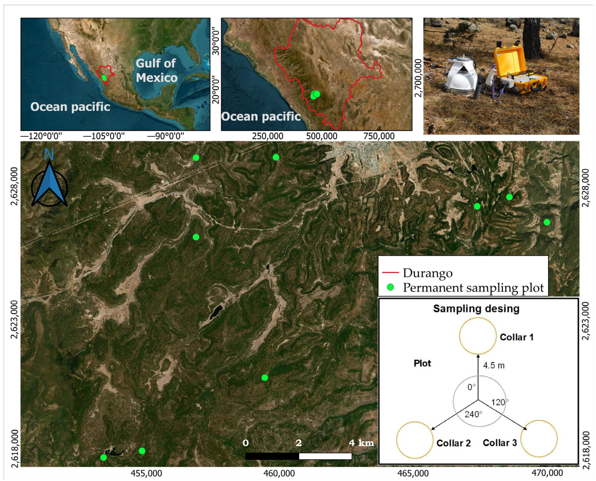 Forests 14 01763 g001 Forests 14 01763 g001