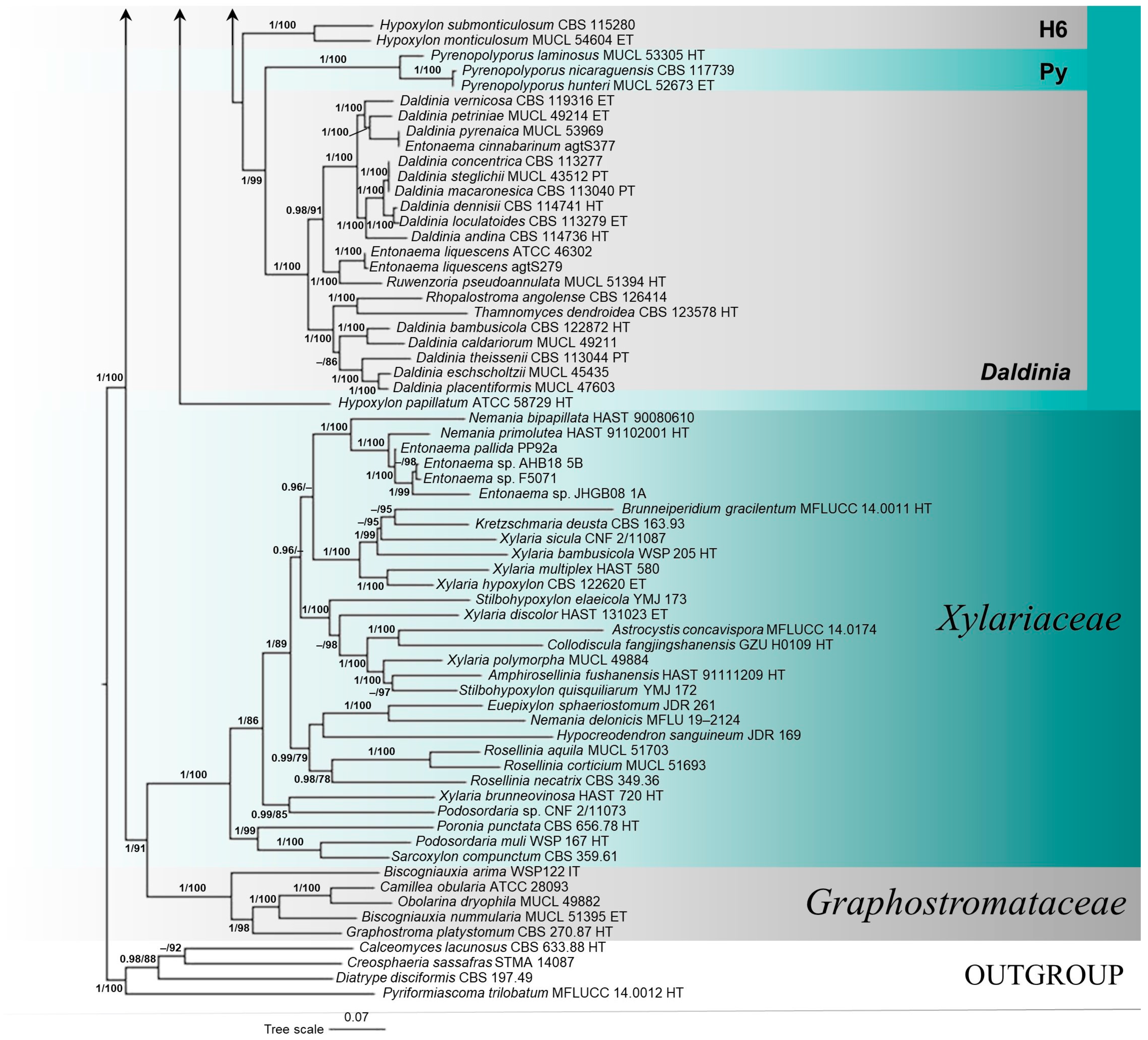 Forests 14 01764 g001b