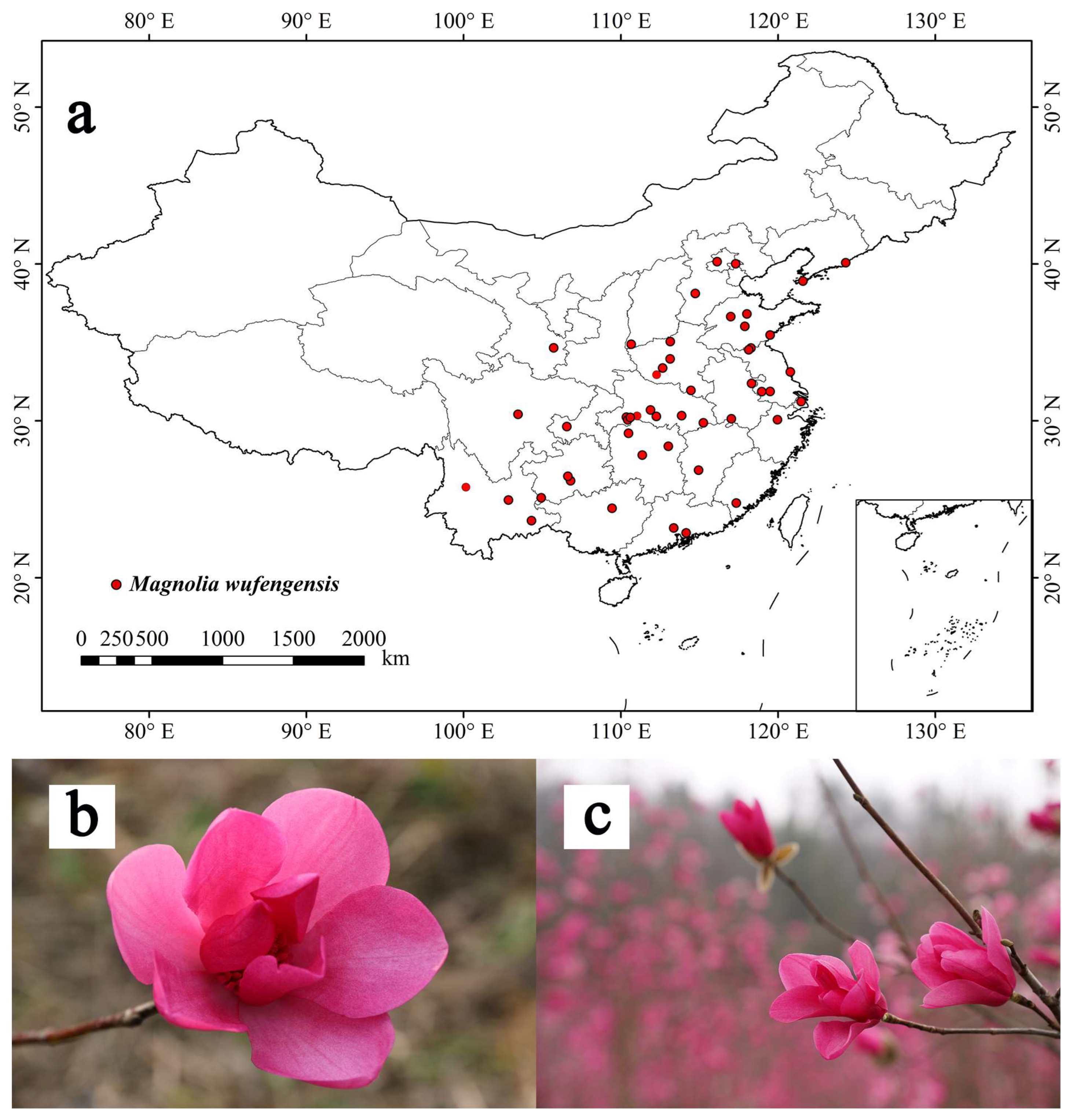 Forests 14 01767 g002