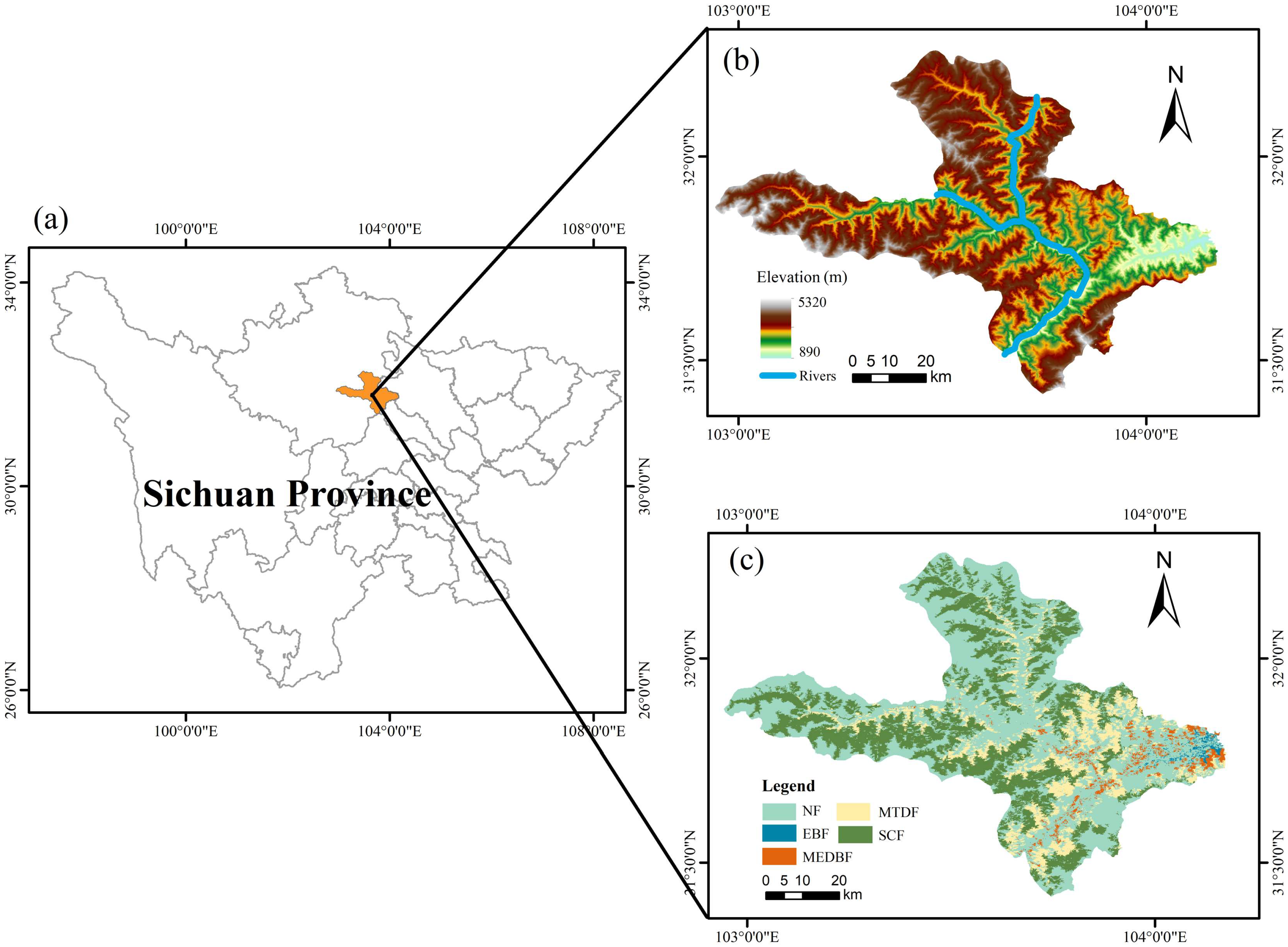 Forests 14 01769 g001
