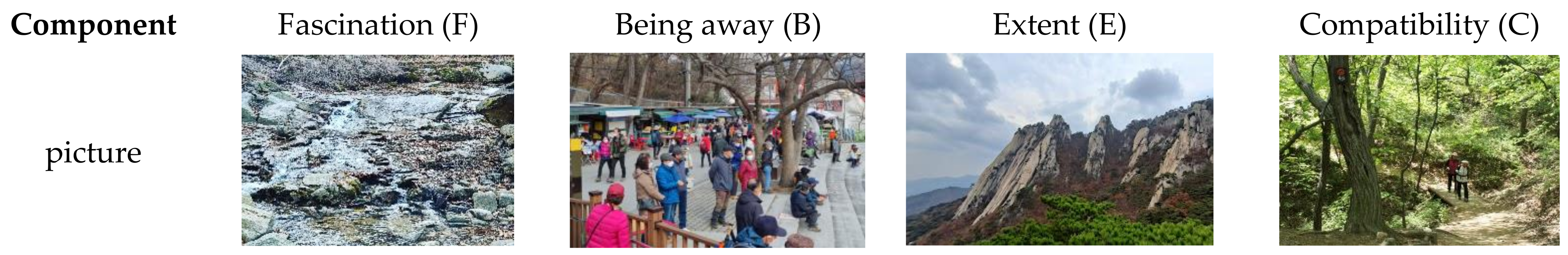 Forests 14 01770 g004