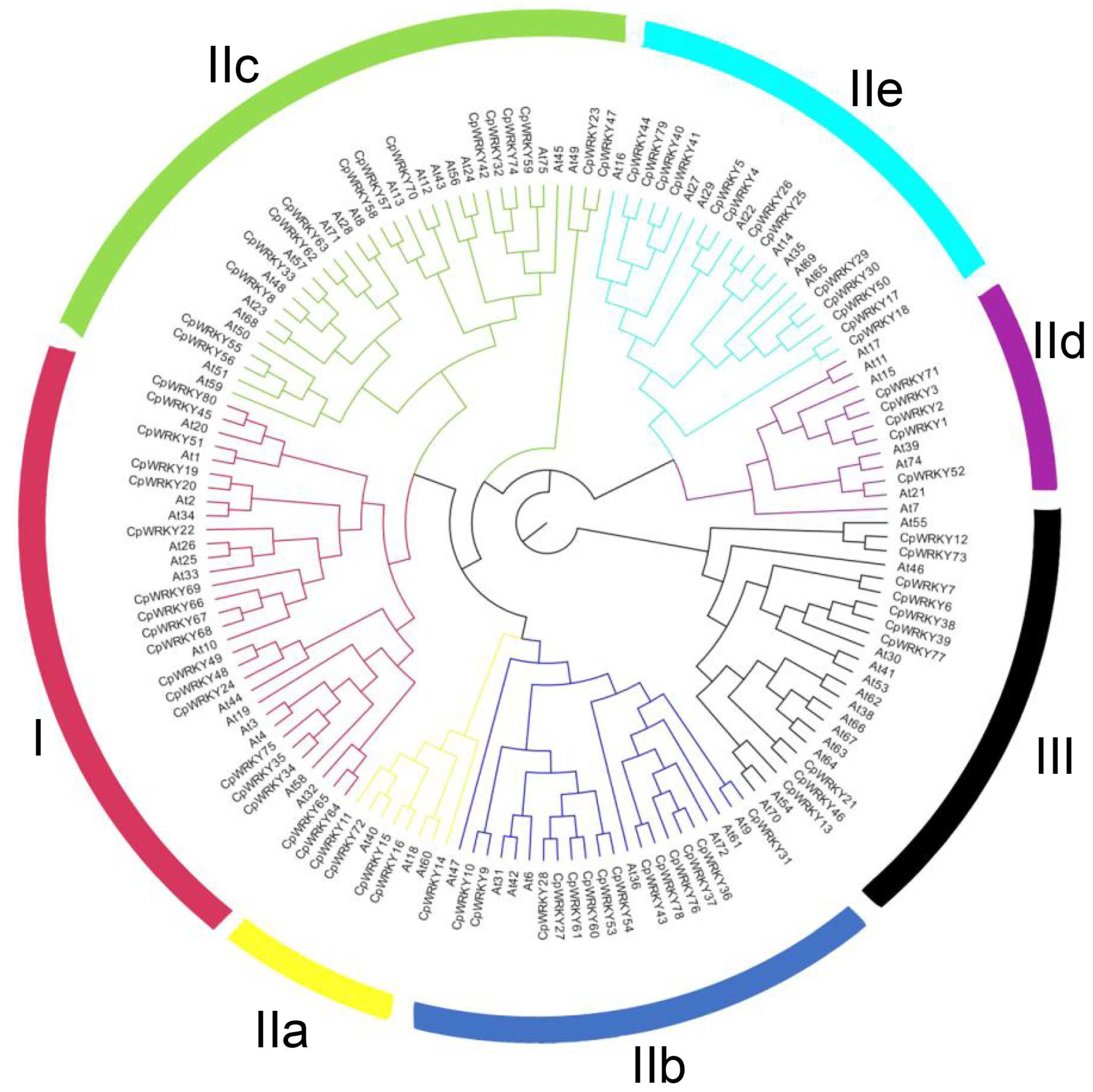 Forests 14 01771 g001