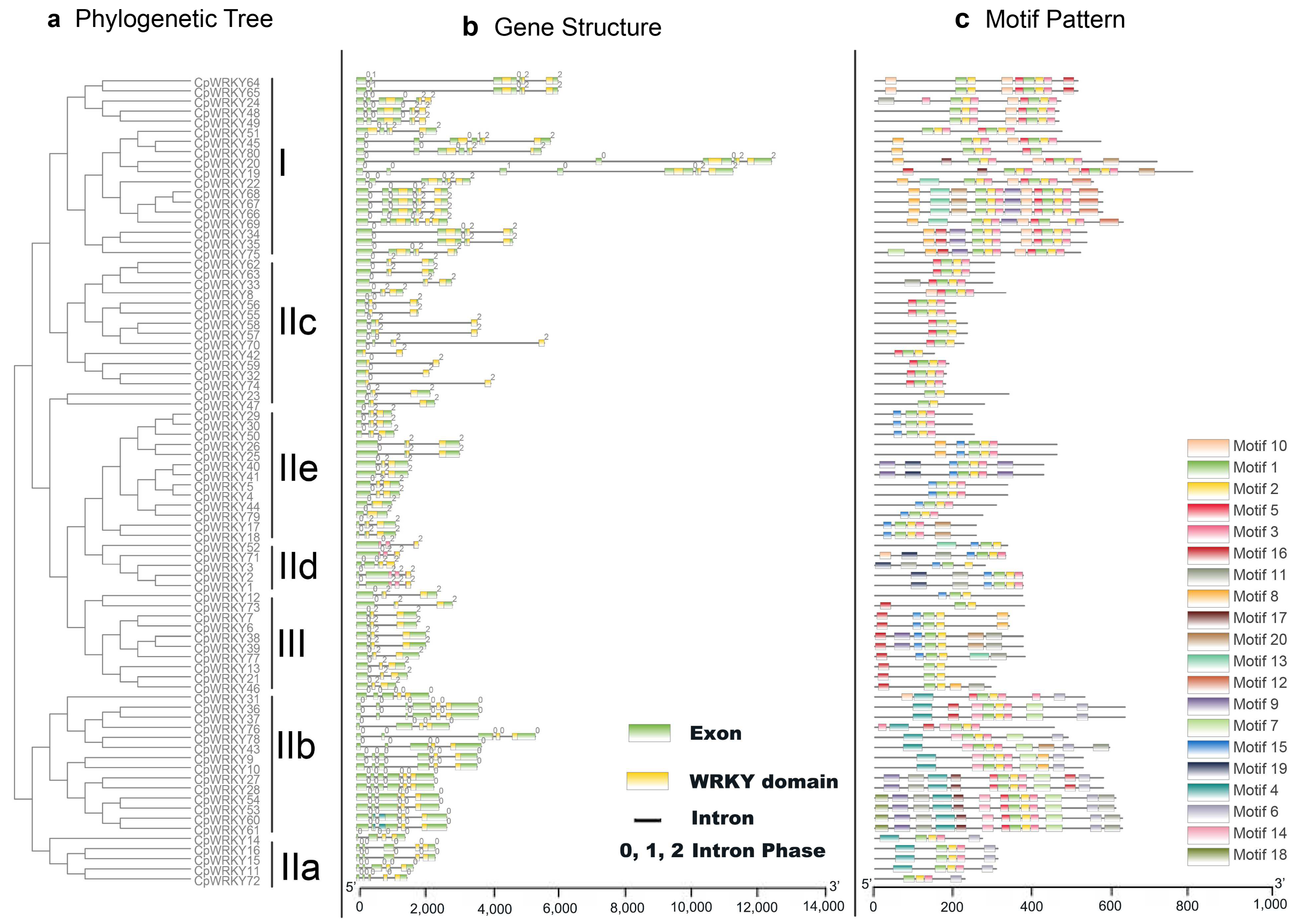 Forests 14 01771 g002