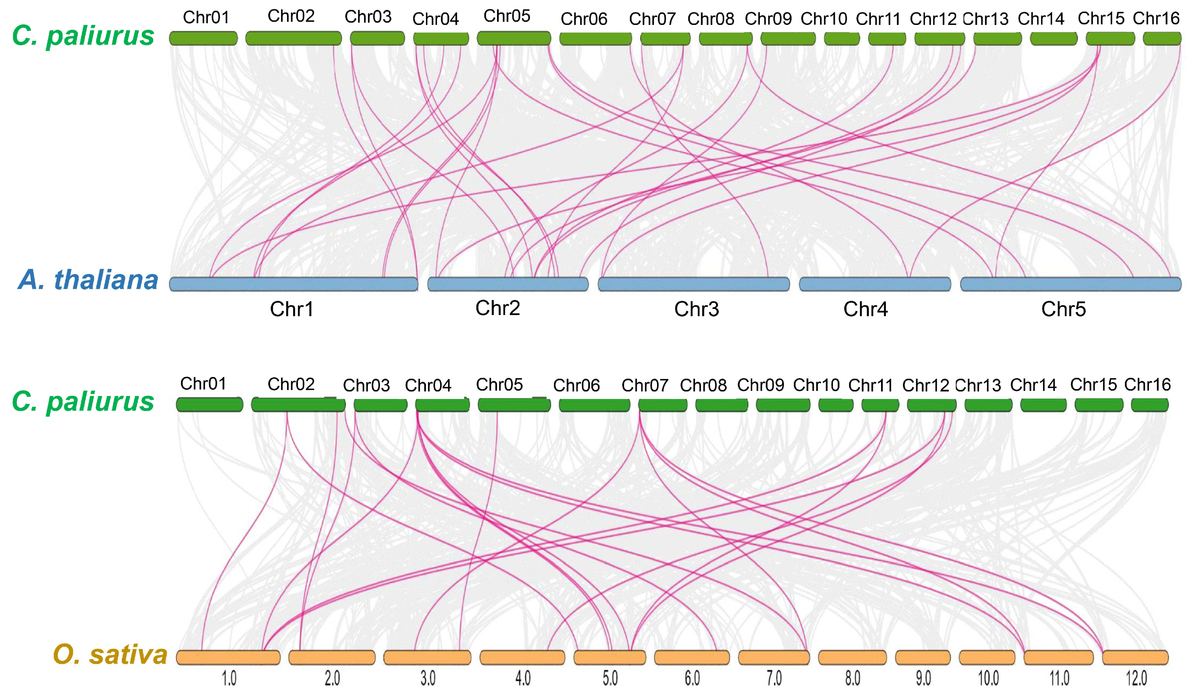 Forests 14 01771 g003
