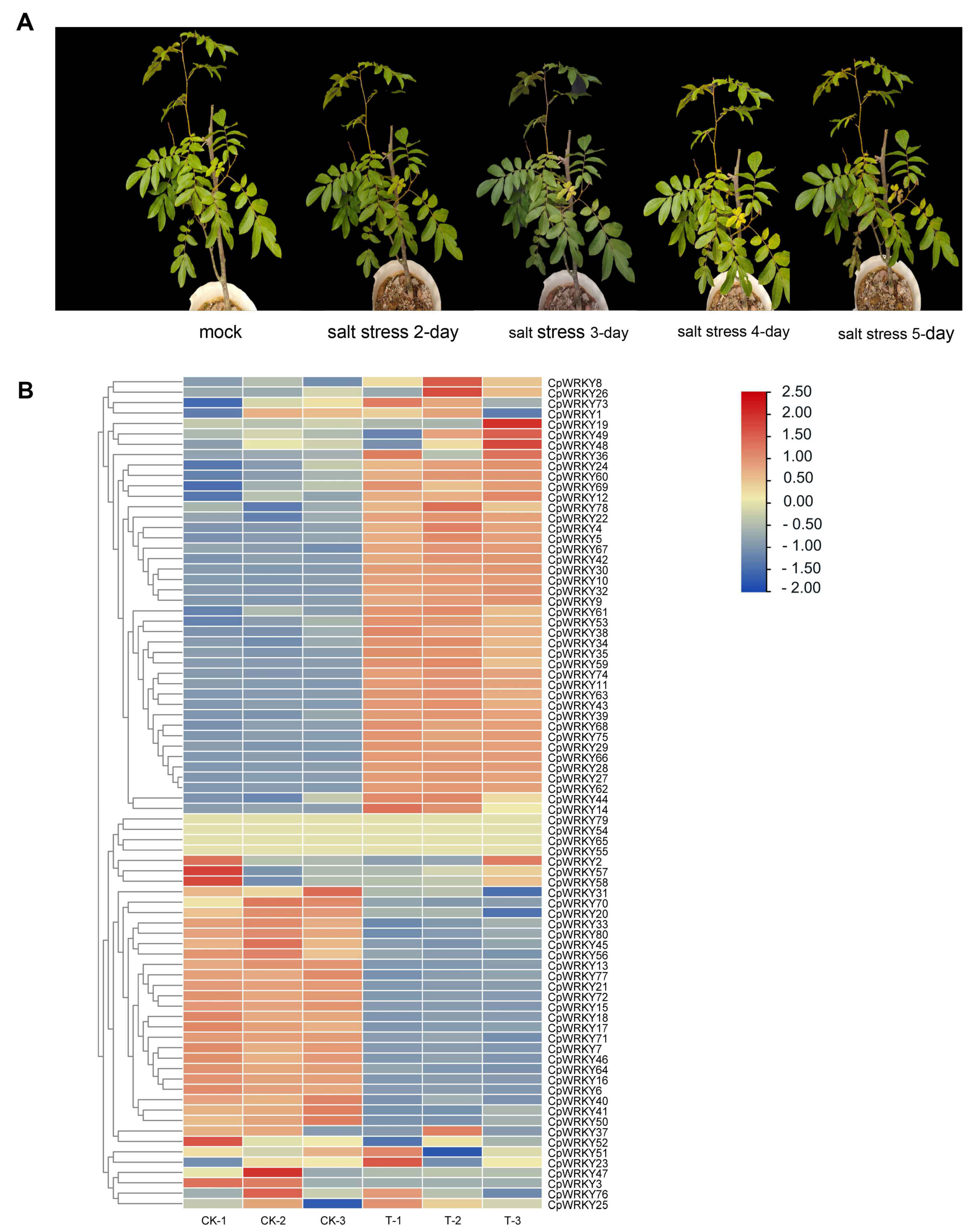 Forests 14 01771 g005