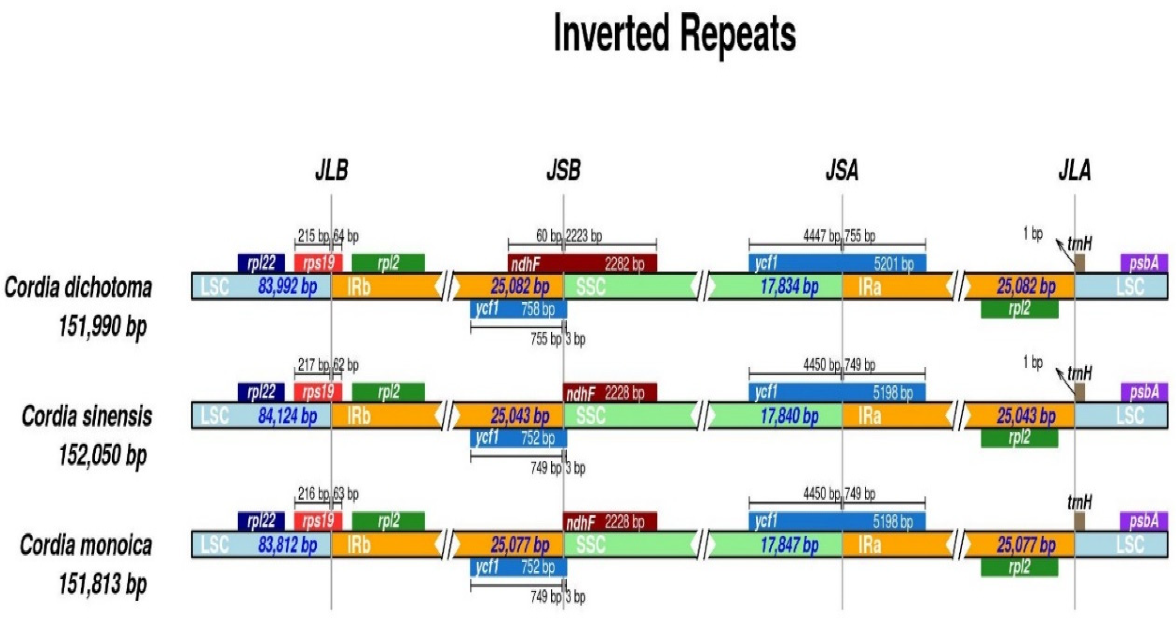 Forests 14 01778 g005