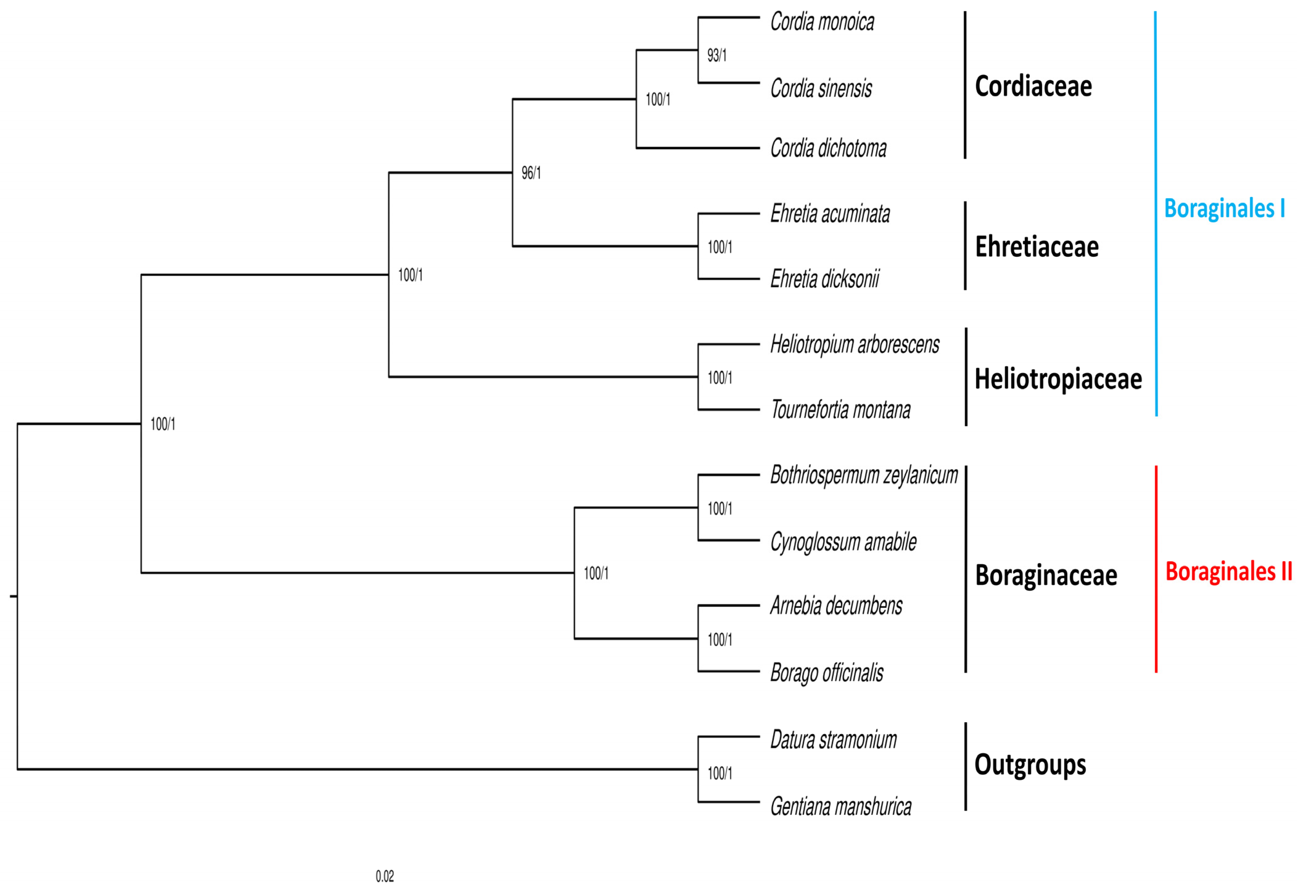 Forests 14 01778 g008