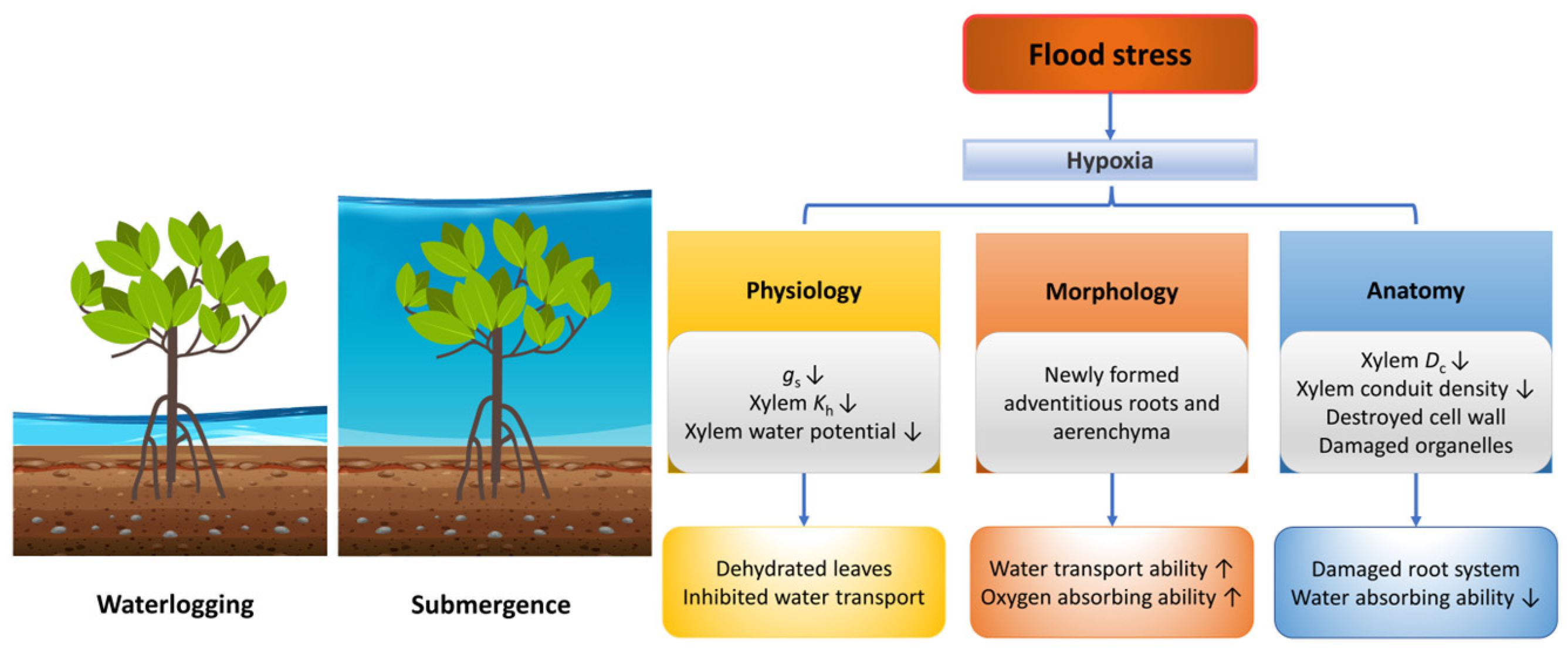 Forests 14 01784 g003 Forests 14 01784 g003