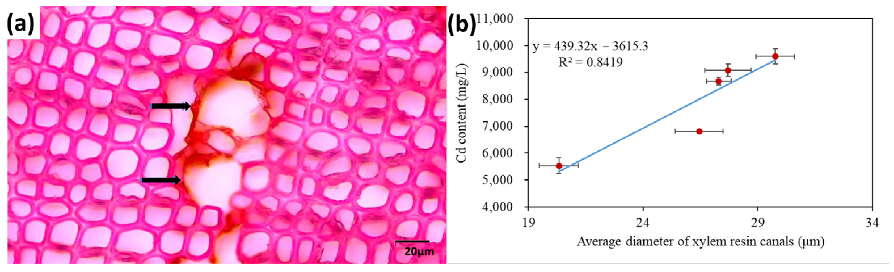 Forests 14 01784 g007 Forests 14 01784 g007