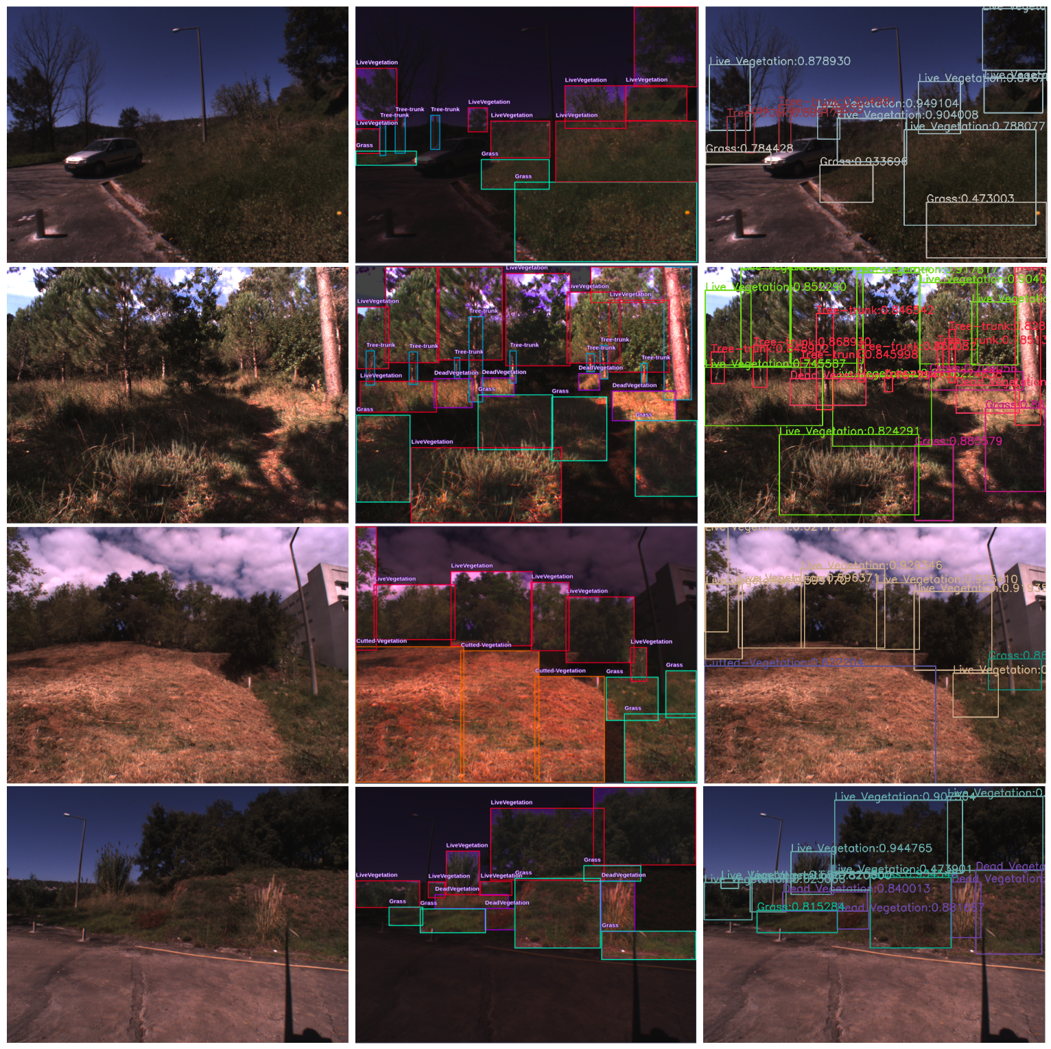 Forests 14 01787 g012