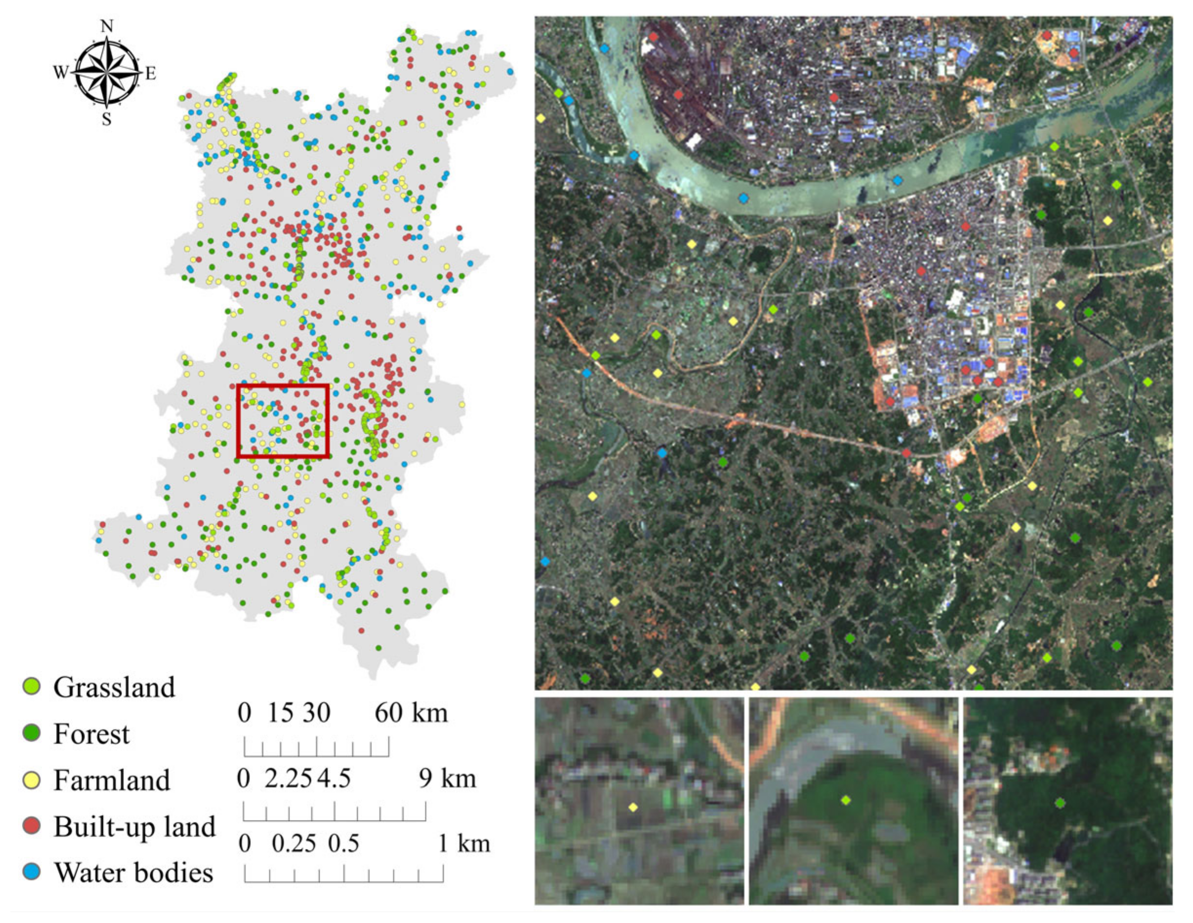 Forests 14 01788 g002