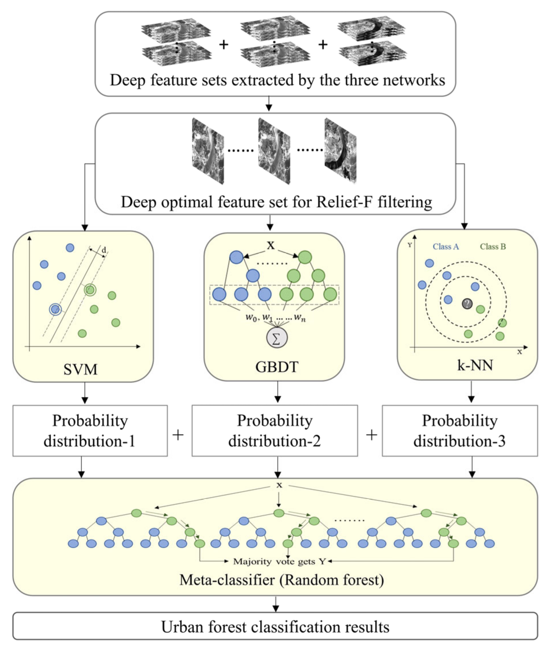 Forests 14 01788 g005