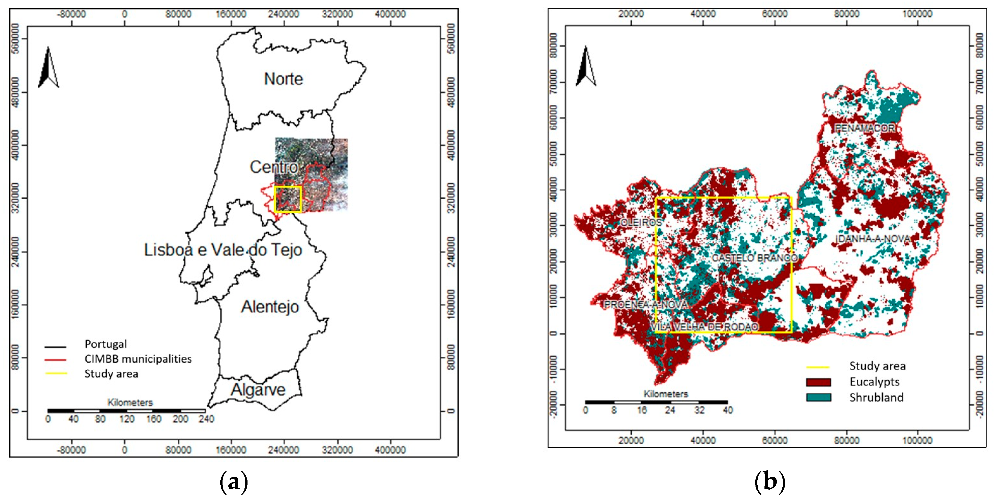 Forests 14 01795 g001 Forests 14 01795 g001