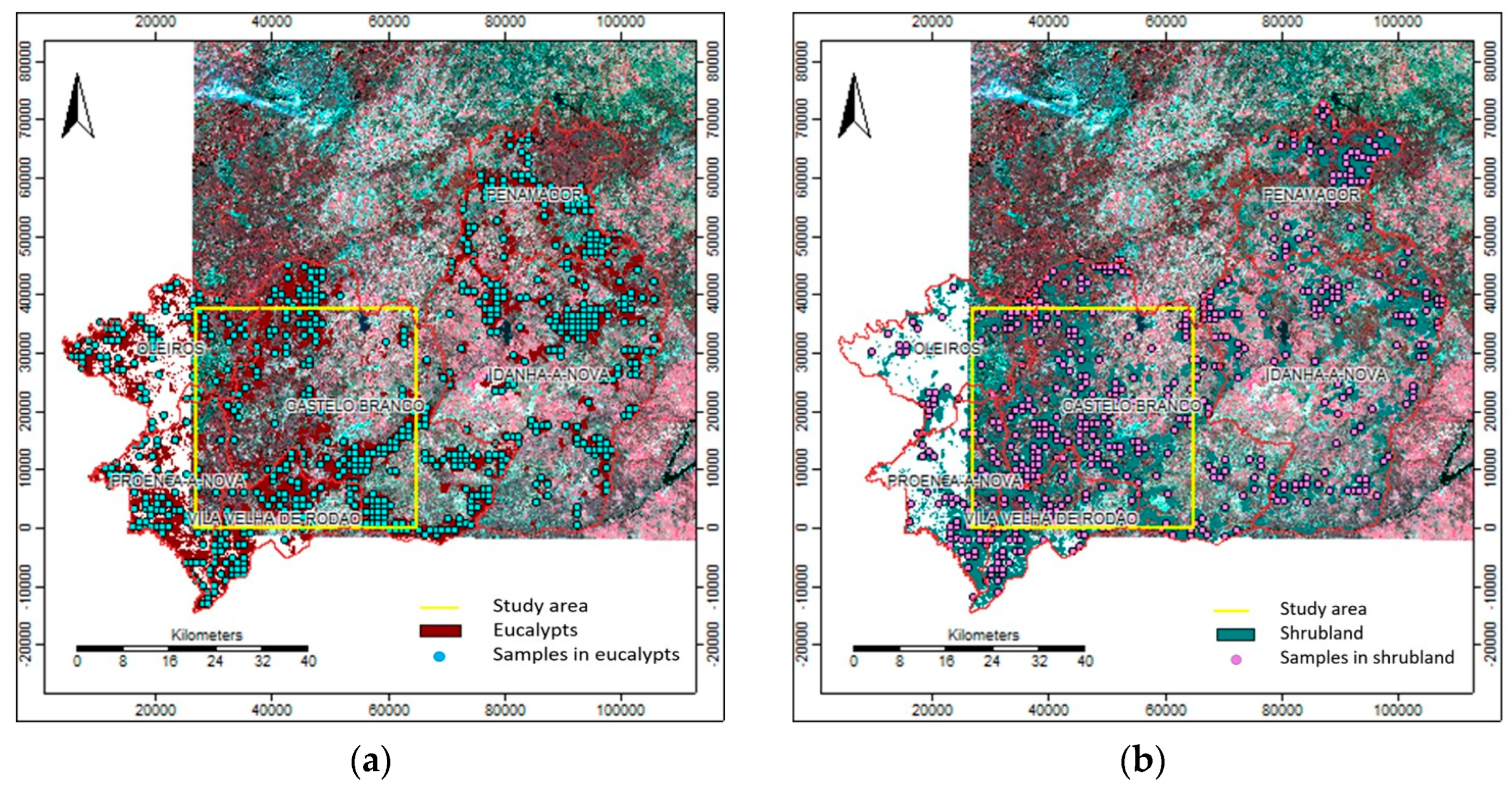Forests 14 01795 g003 Forests 14 01795 g003