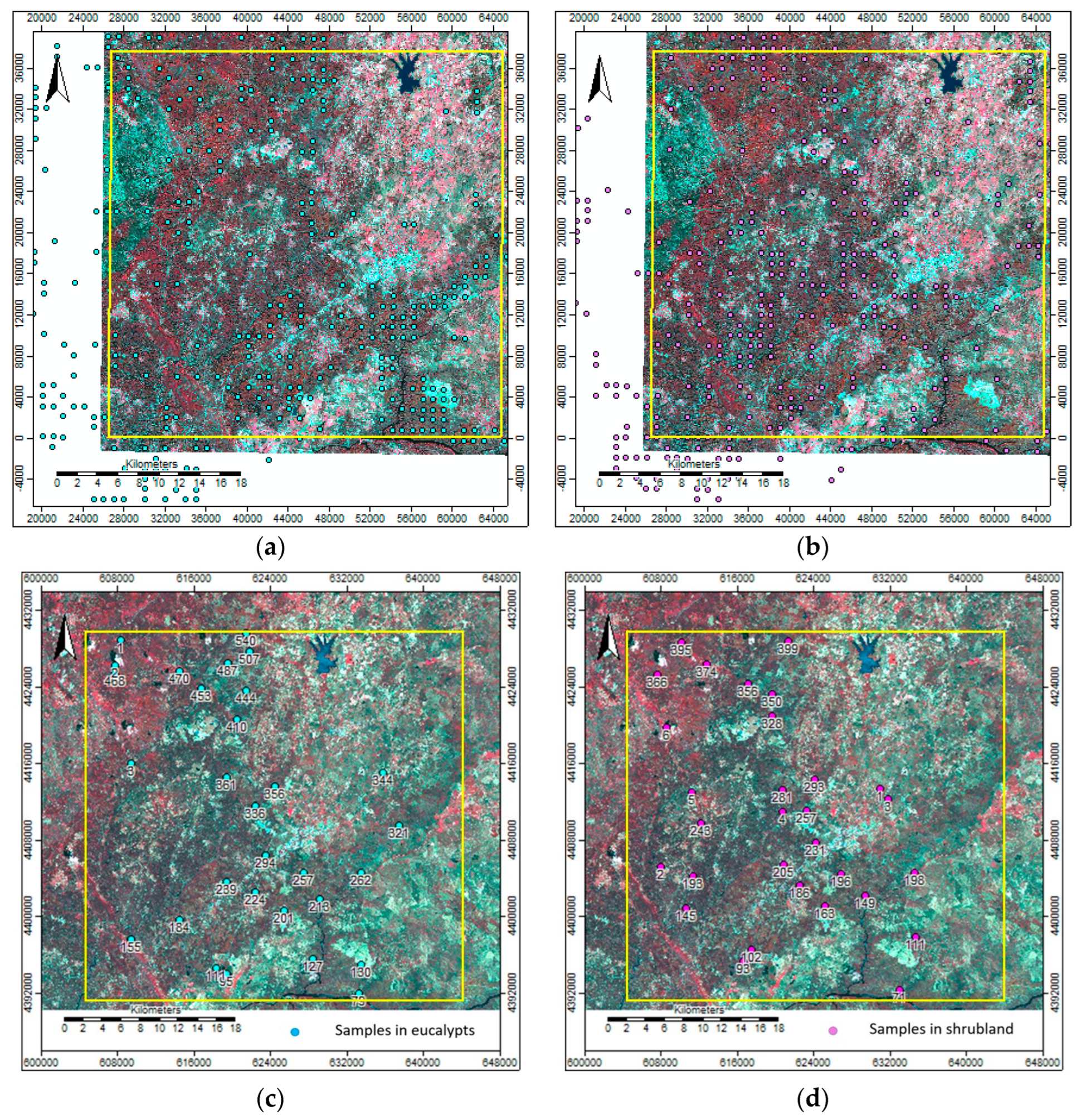 Forests 14 01795 g004 Forests 14 01795 g004