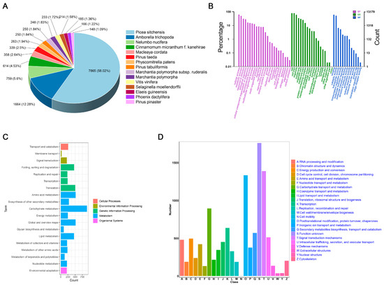 人気カラーの Transcriptome Analysis and Novel EST-SSR Marker Development フェイスクリーム