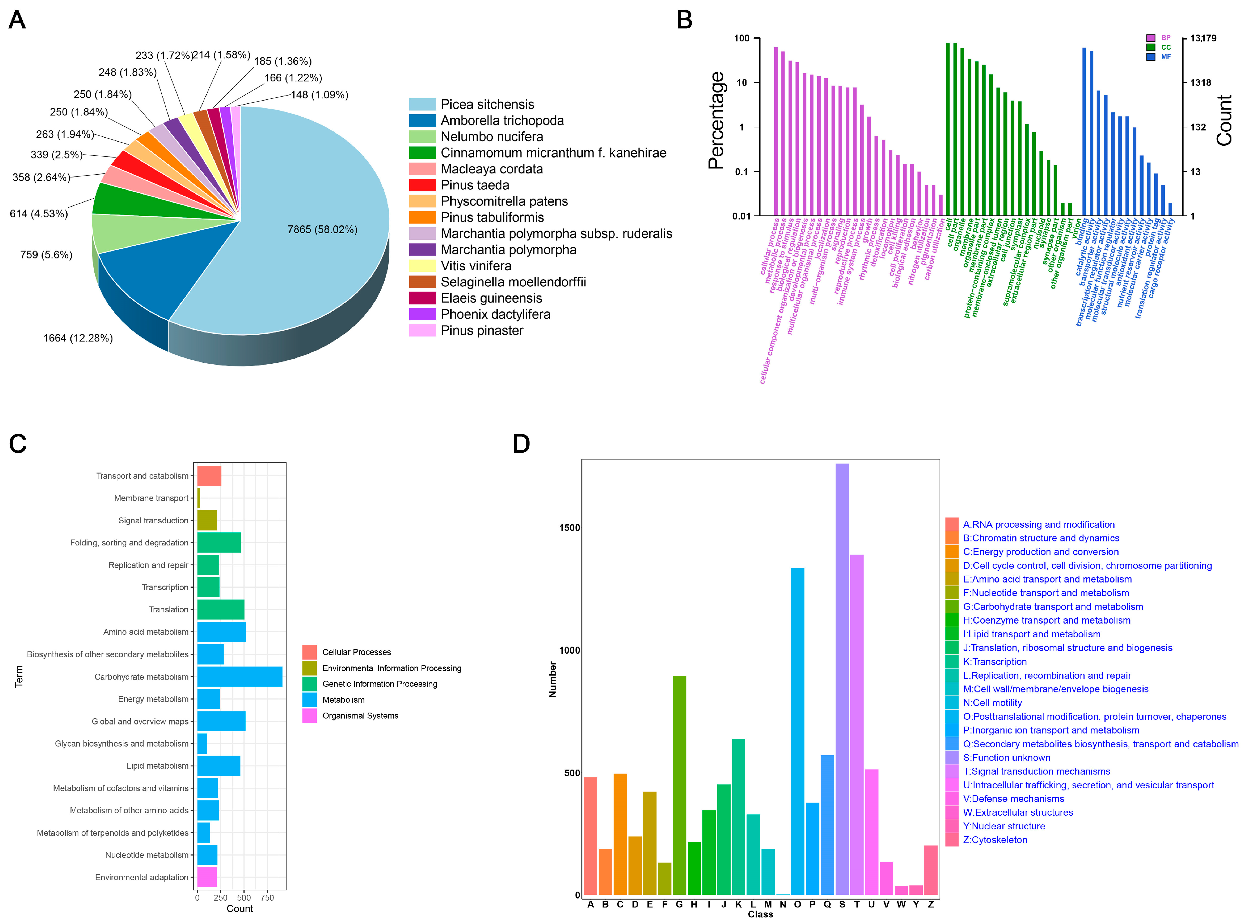 【上品】 Transcriptome Analysis and Novel EST-SSR Marker Development for Pinus  tabuliformis Seedlings from Four Provenances フェイスクリーム