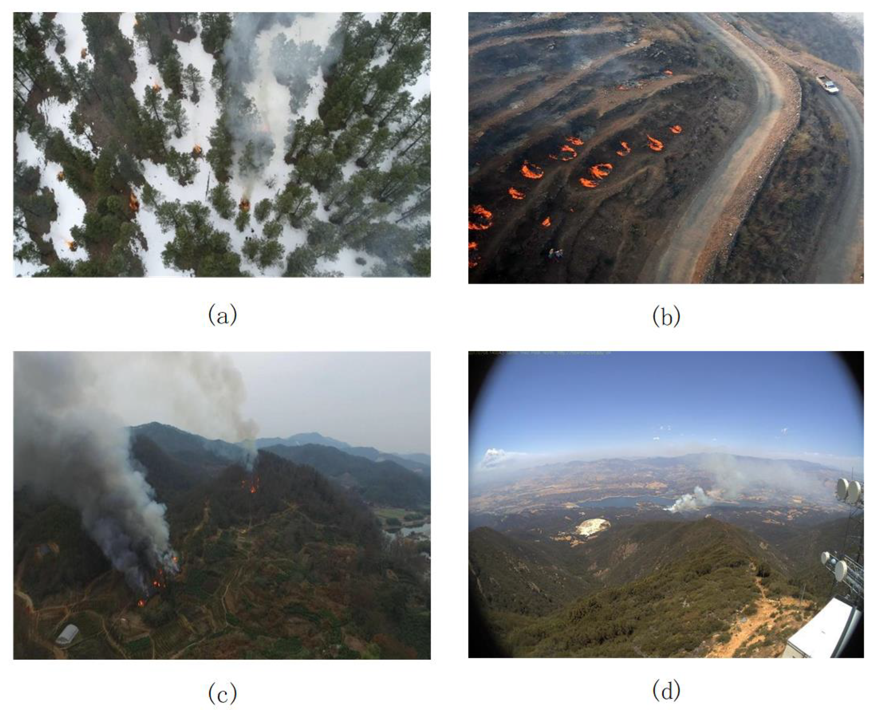 Forests 14 01812 g009