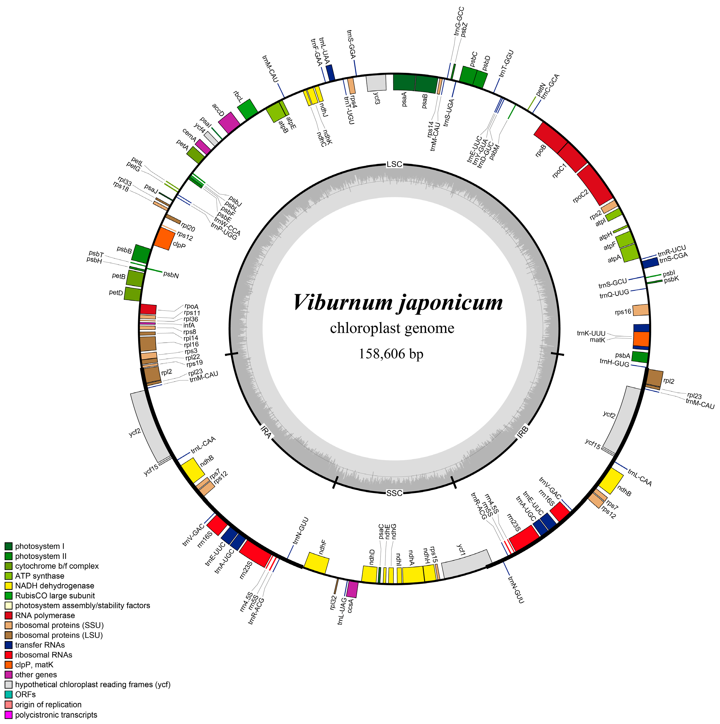 Forests 14 01819 g002 Forests 14 01819 g002